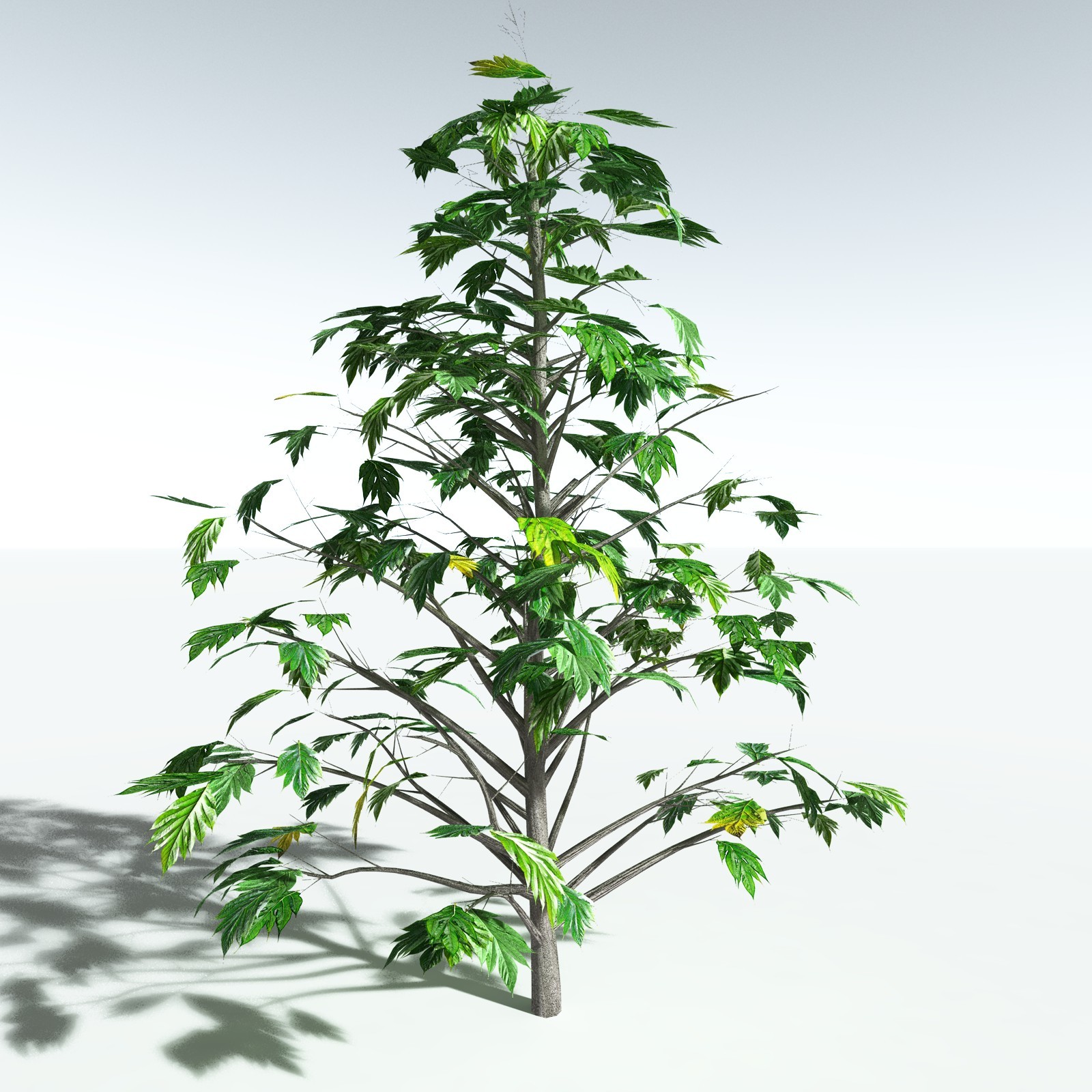 EVERYPlant Breadnut for Vue by N/A
