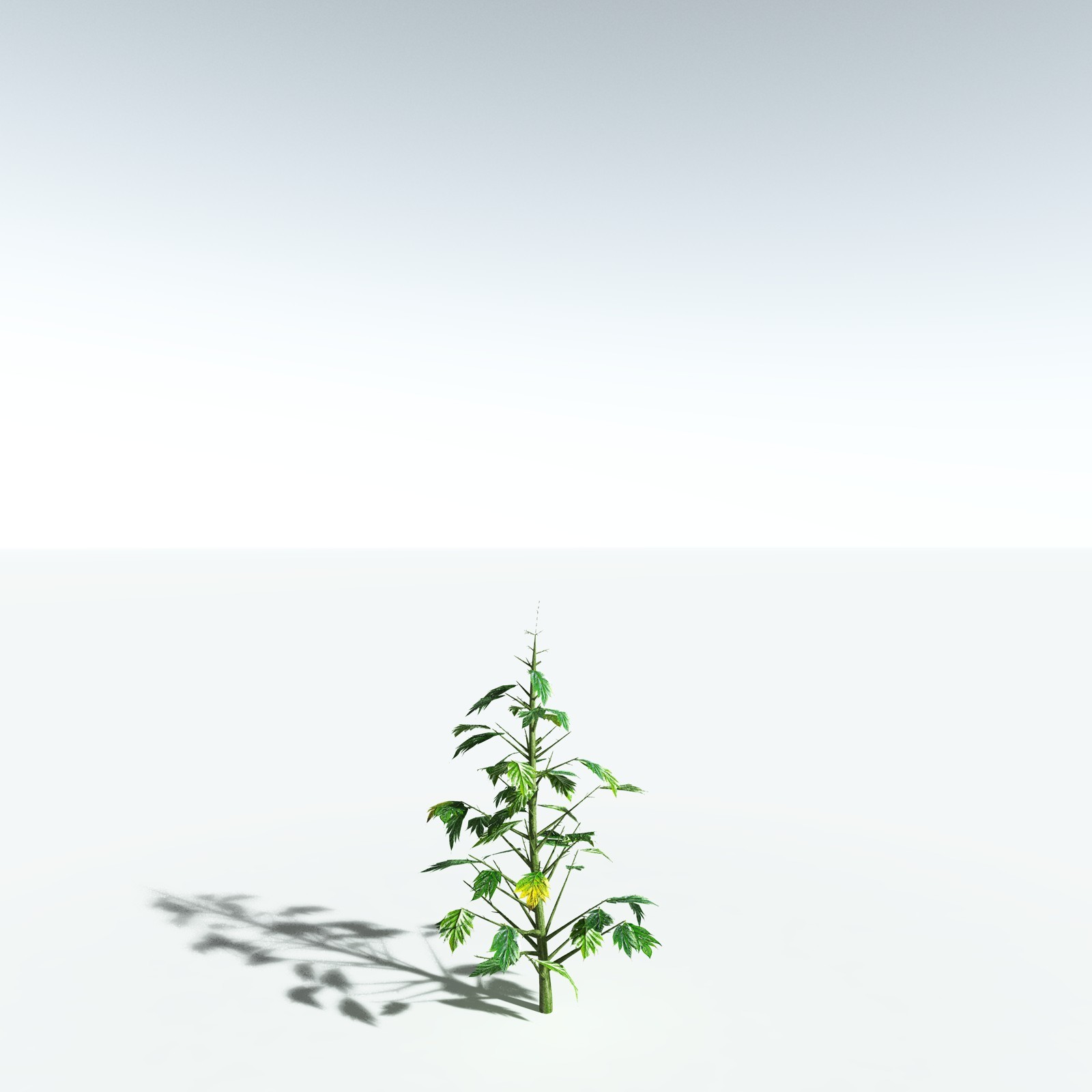 EVERYPlant Breadnut for Vue by N/A