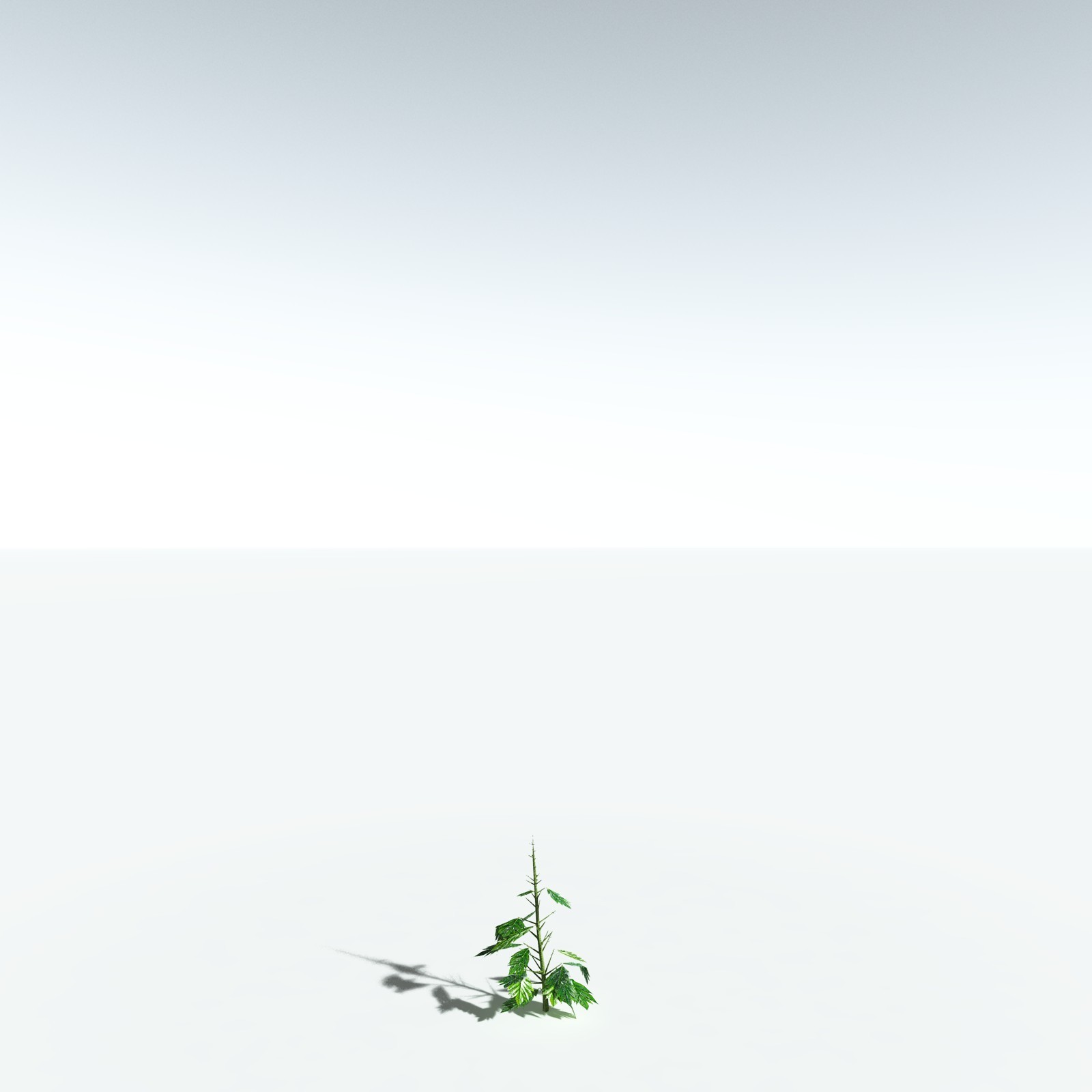 EVERYPlant Breadnut for Vue by N/A