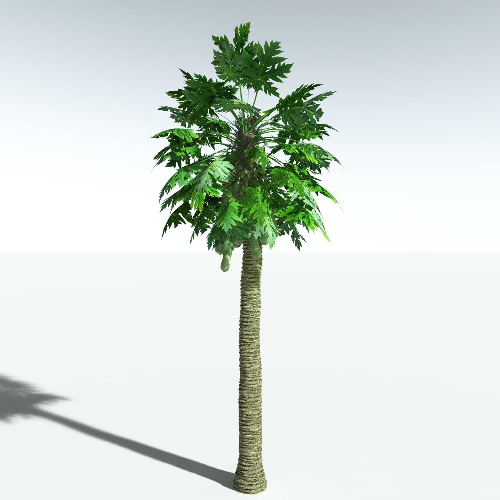 EVERYPlant Papaya for Vue by N/A