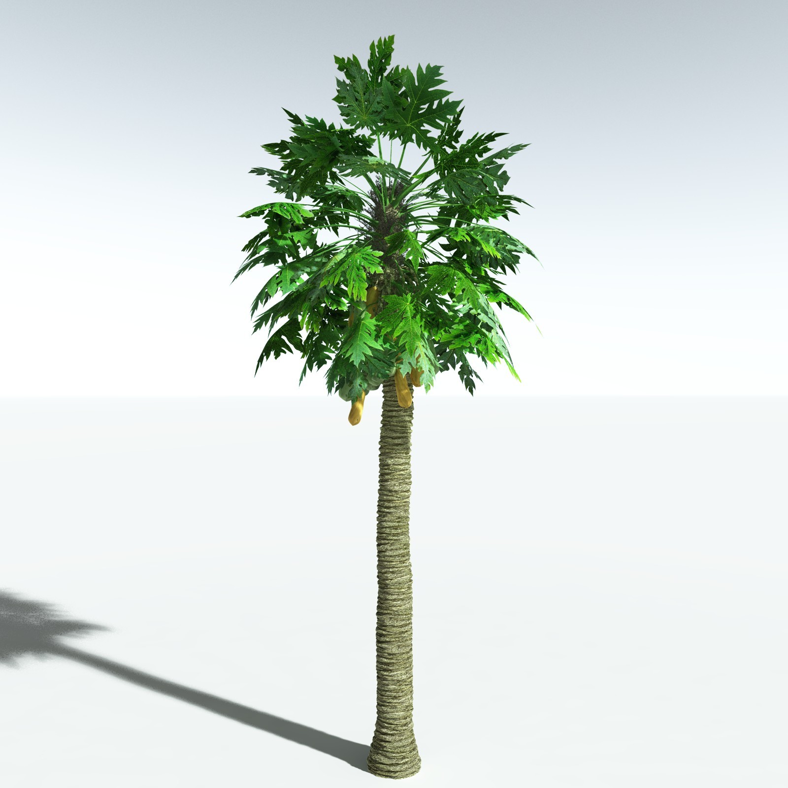 EVERYPlant Papaya for Vue by N/A