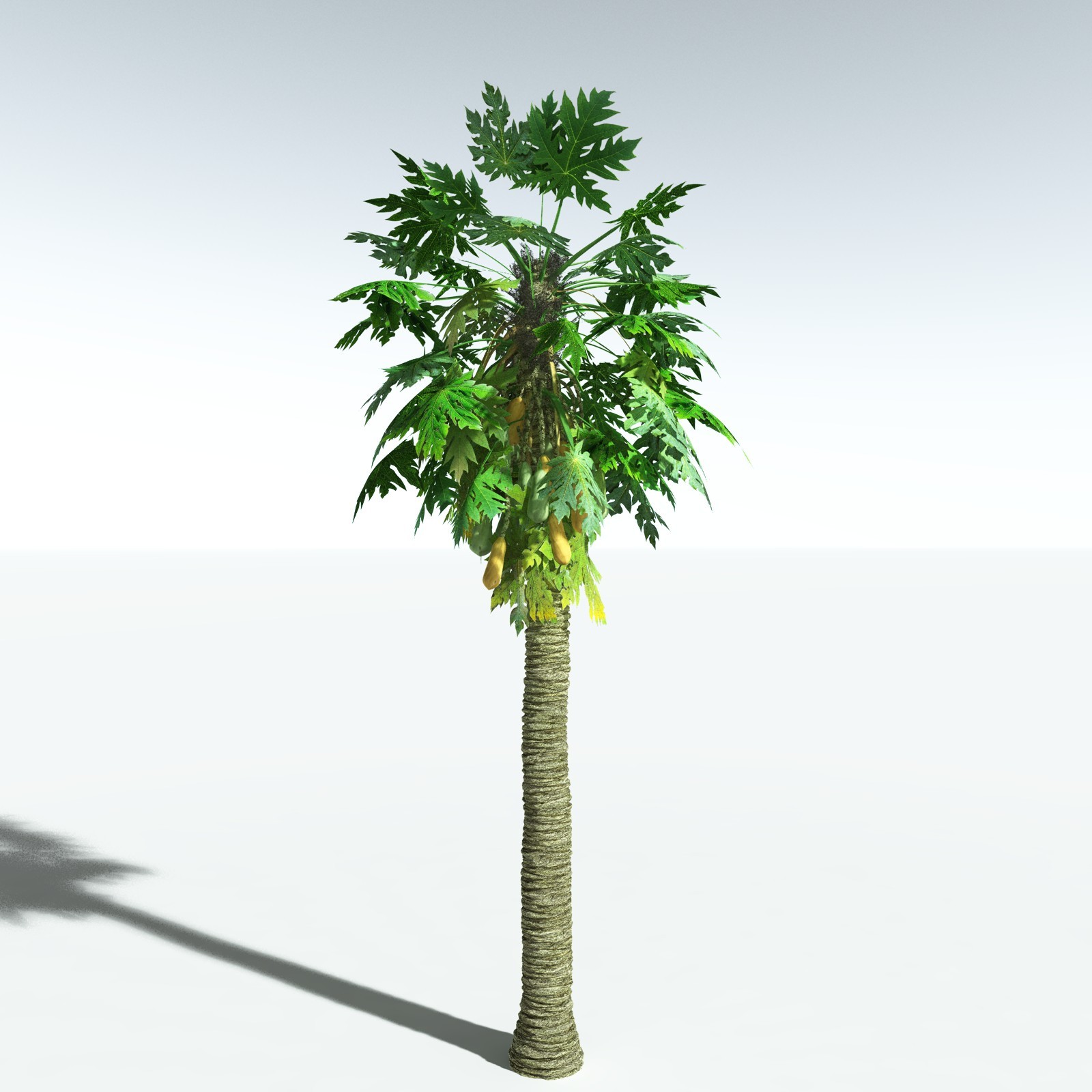 EVERYPlant Papaya for Vue by N/A