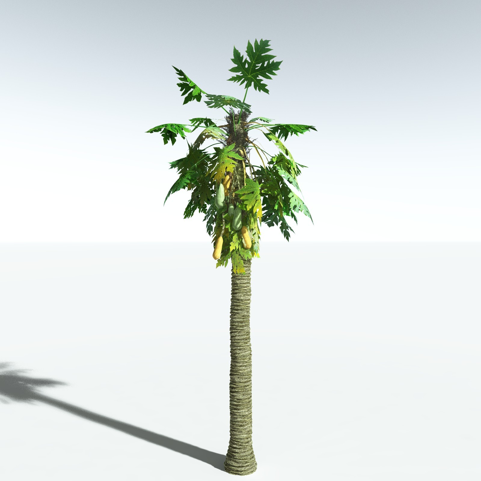 EVERYPlant Papaya for Vue by N/A