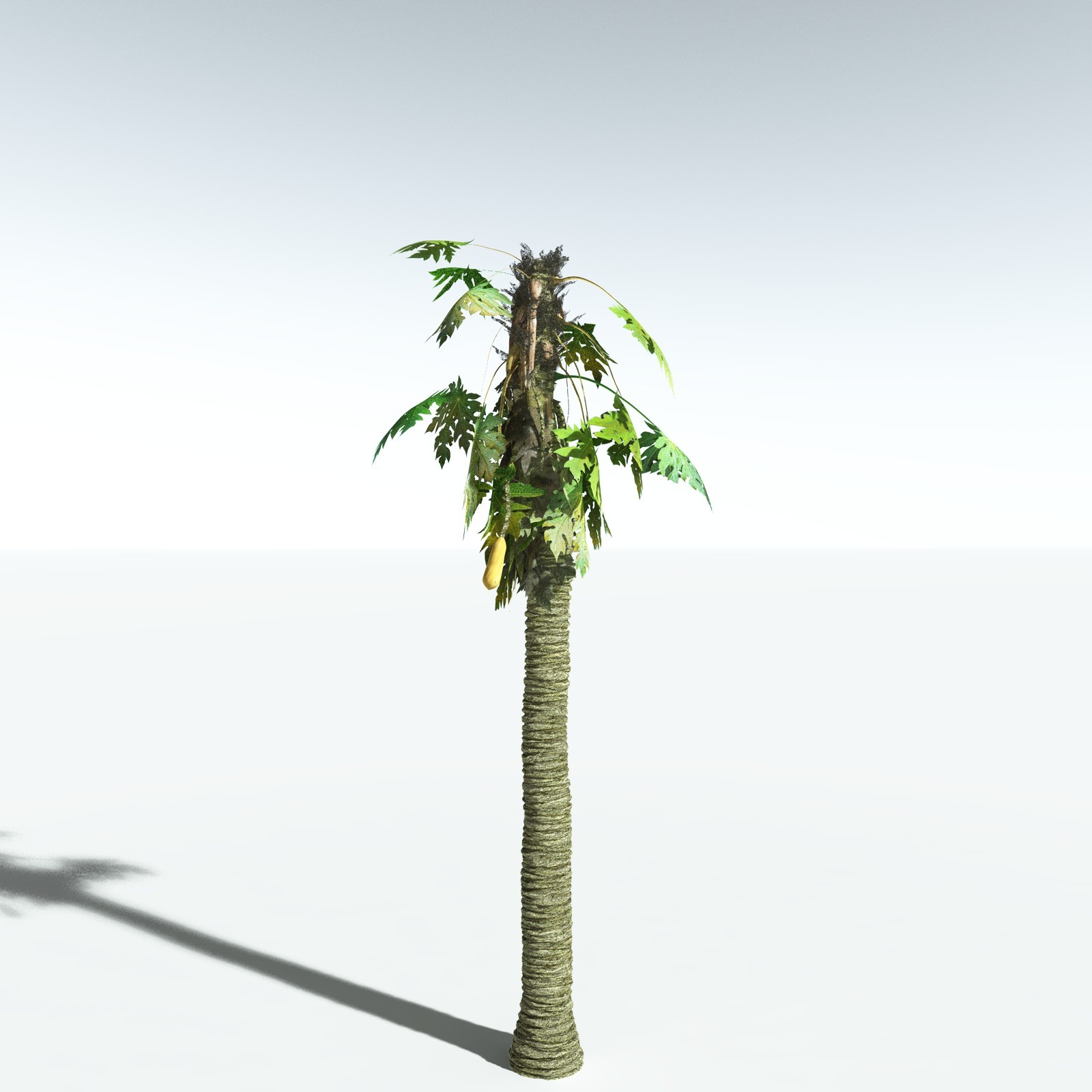EVERYPlant Papaya for Vue by N/A