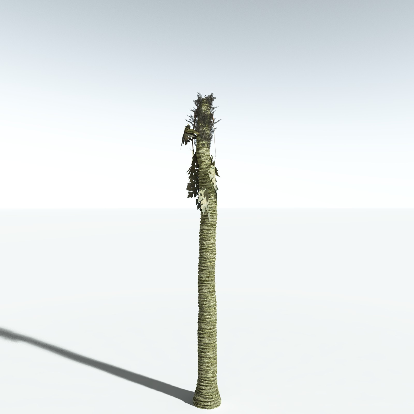 EVERYPlant Papaya for Vue by N/A