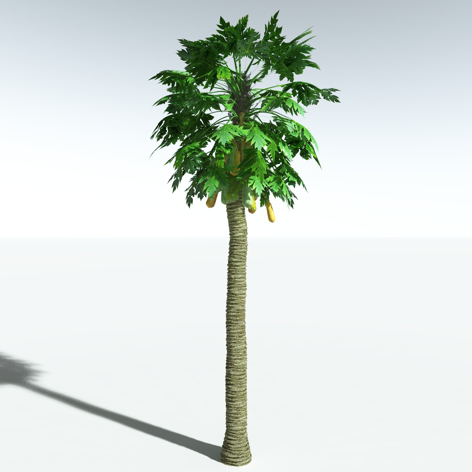 EVERYPlant Papaya for Vue by N/A