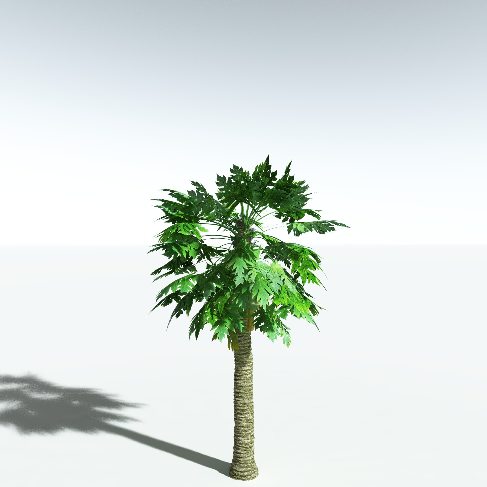 EVERYPlant Papaya for Vue by N/A