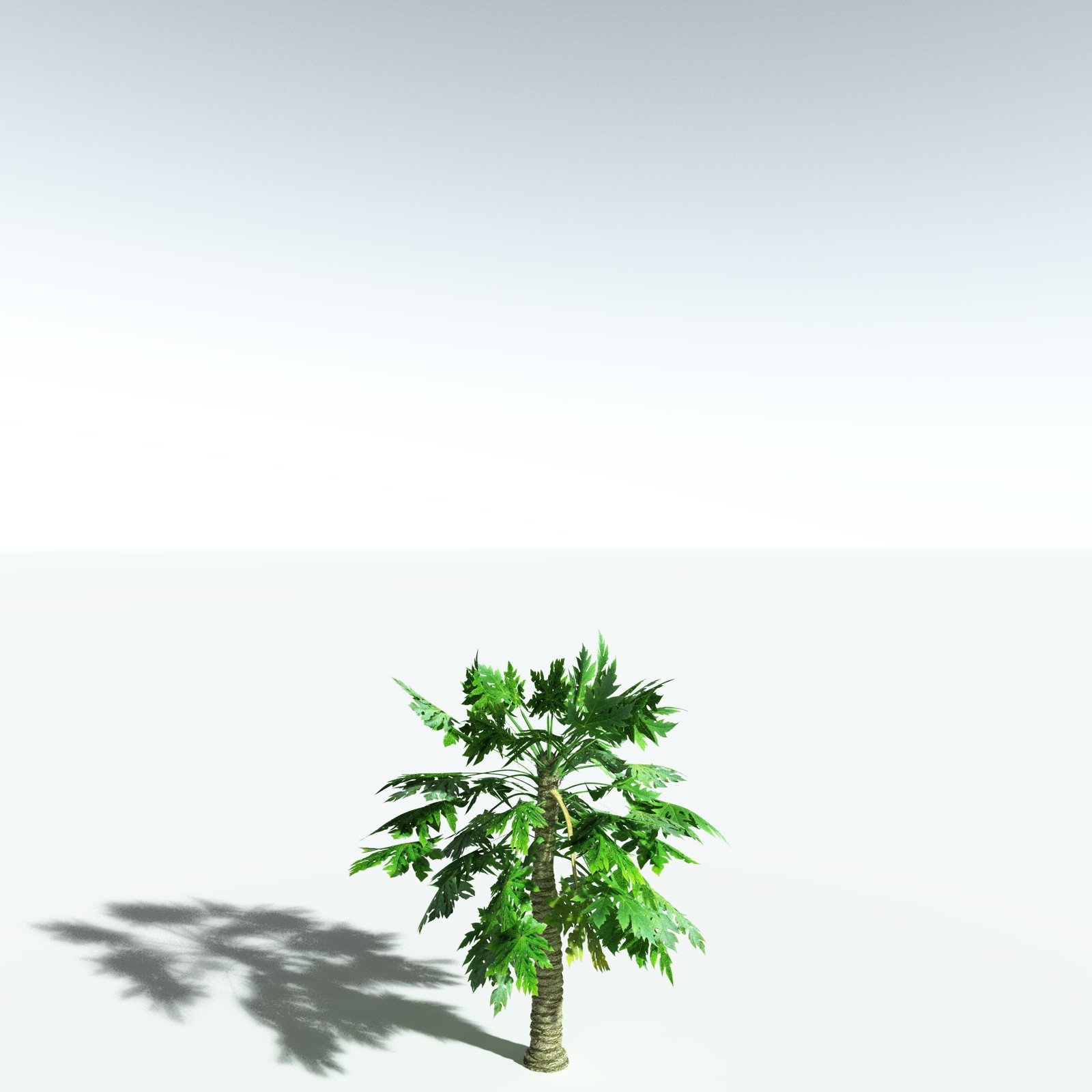 EVERYPlant Papaya for Vue by N/A