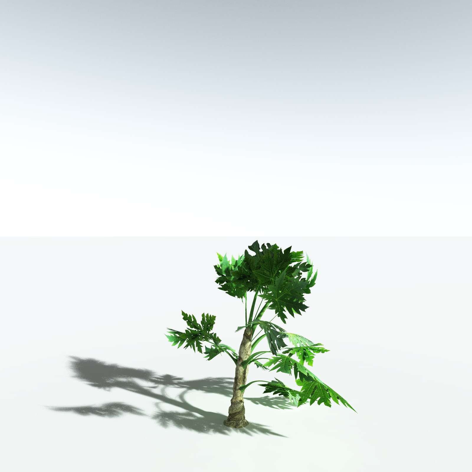 EVERYPlant Papaya for Vue by N/A