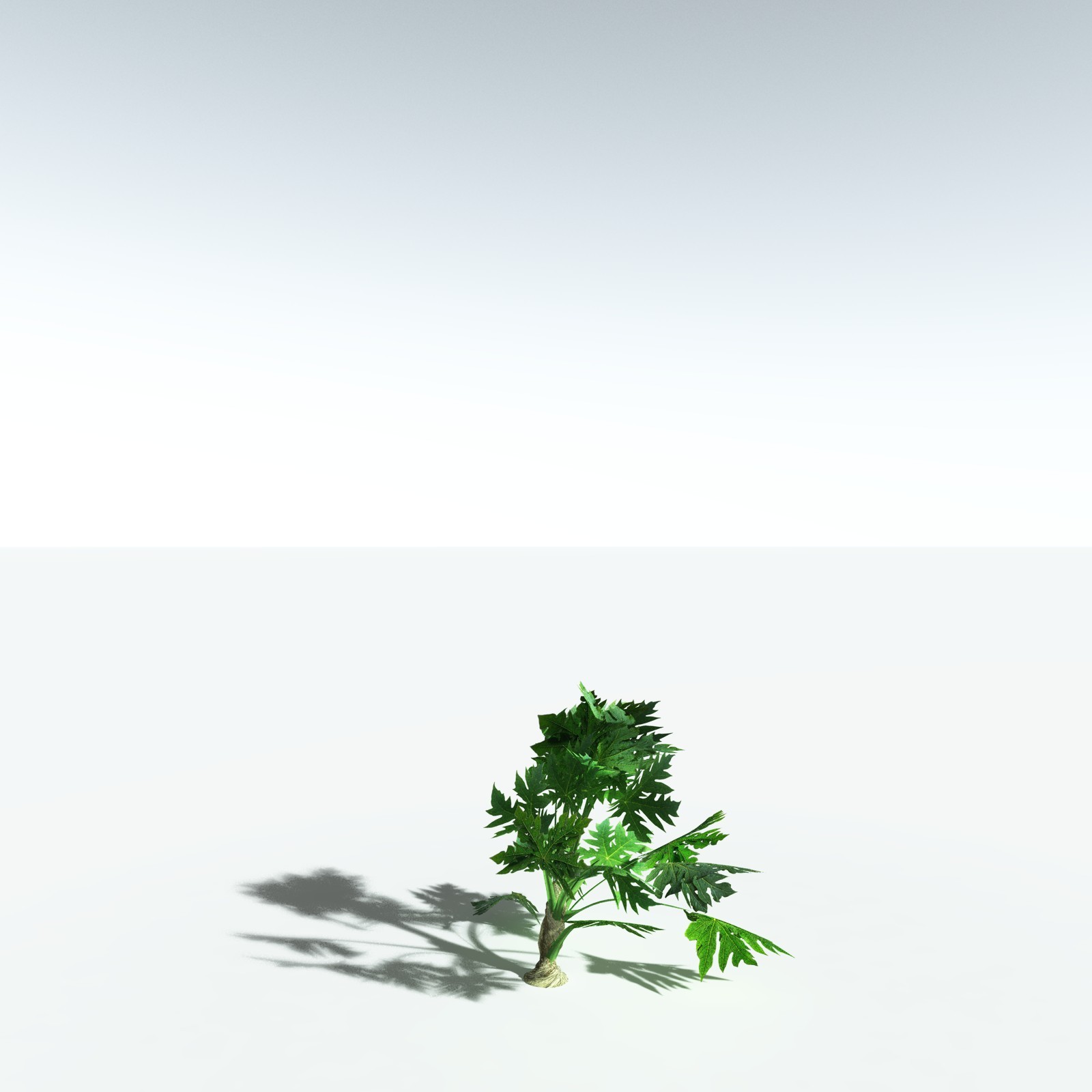 EVERYPlant Papaya for Vue by N/A