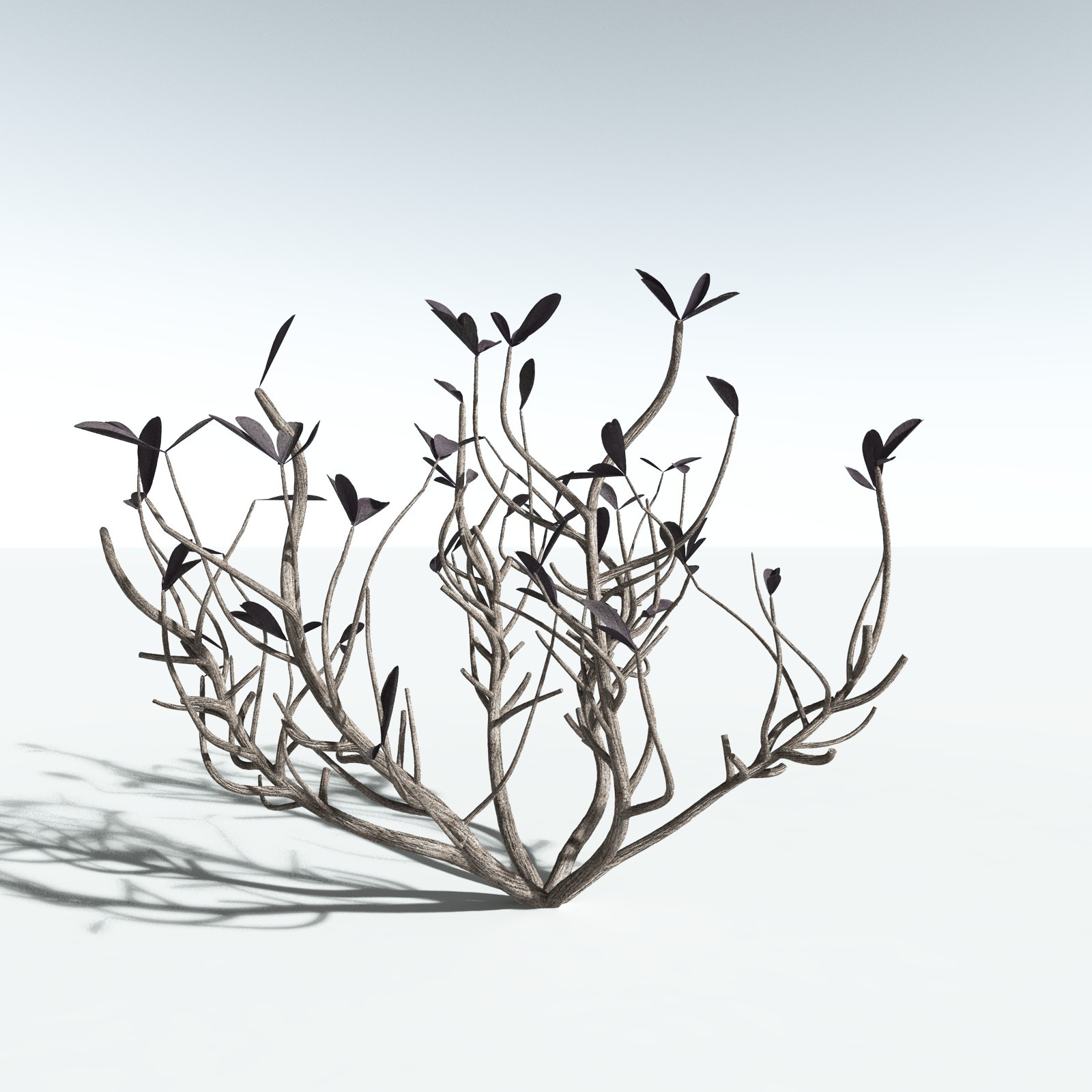 EVERYPlant Tree Heliotrope for Vue by N/A