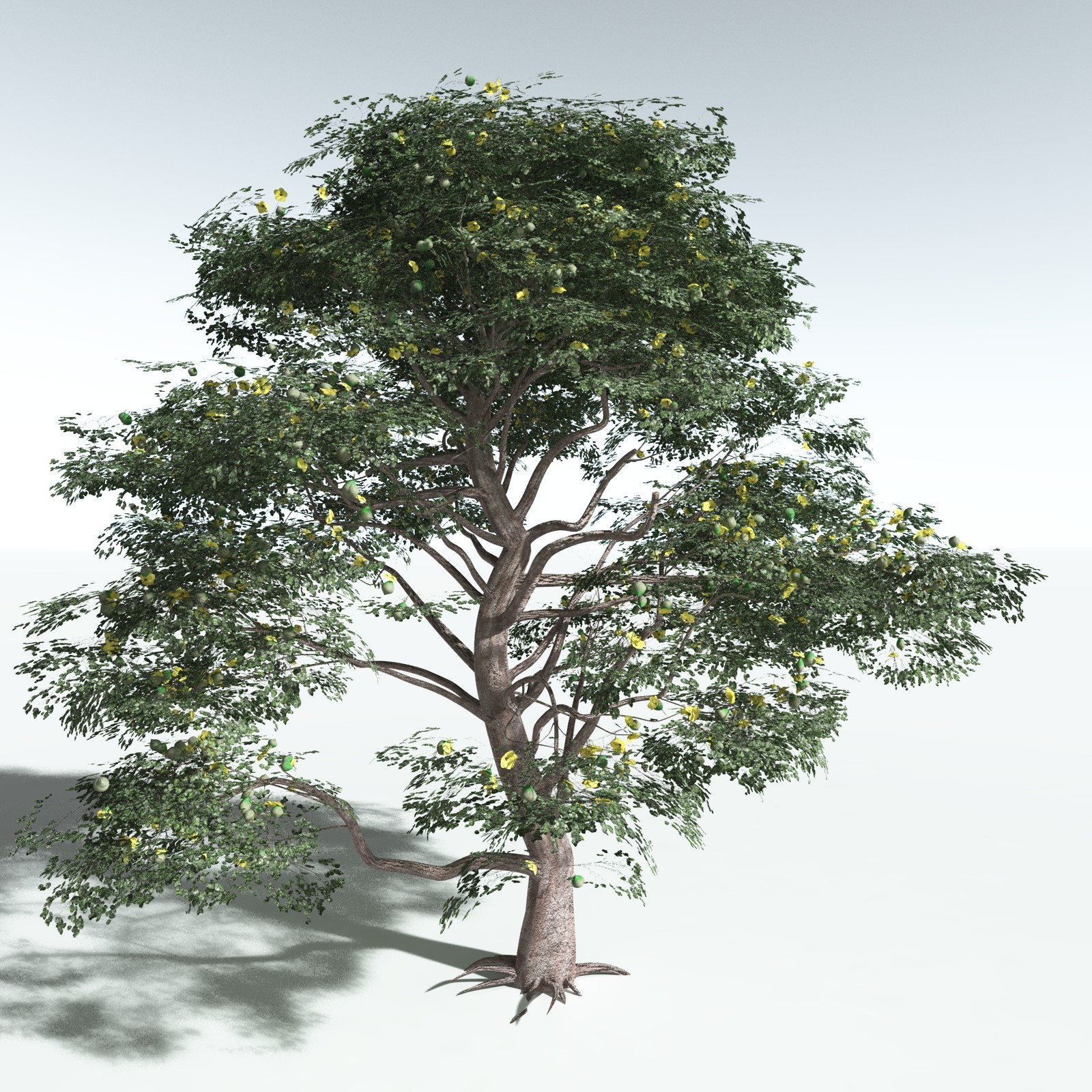 EVERYPlant Portia Tree for Vue by N/A