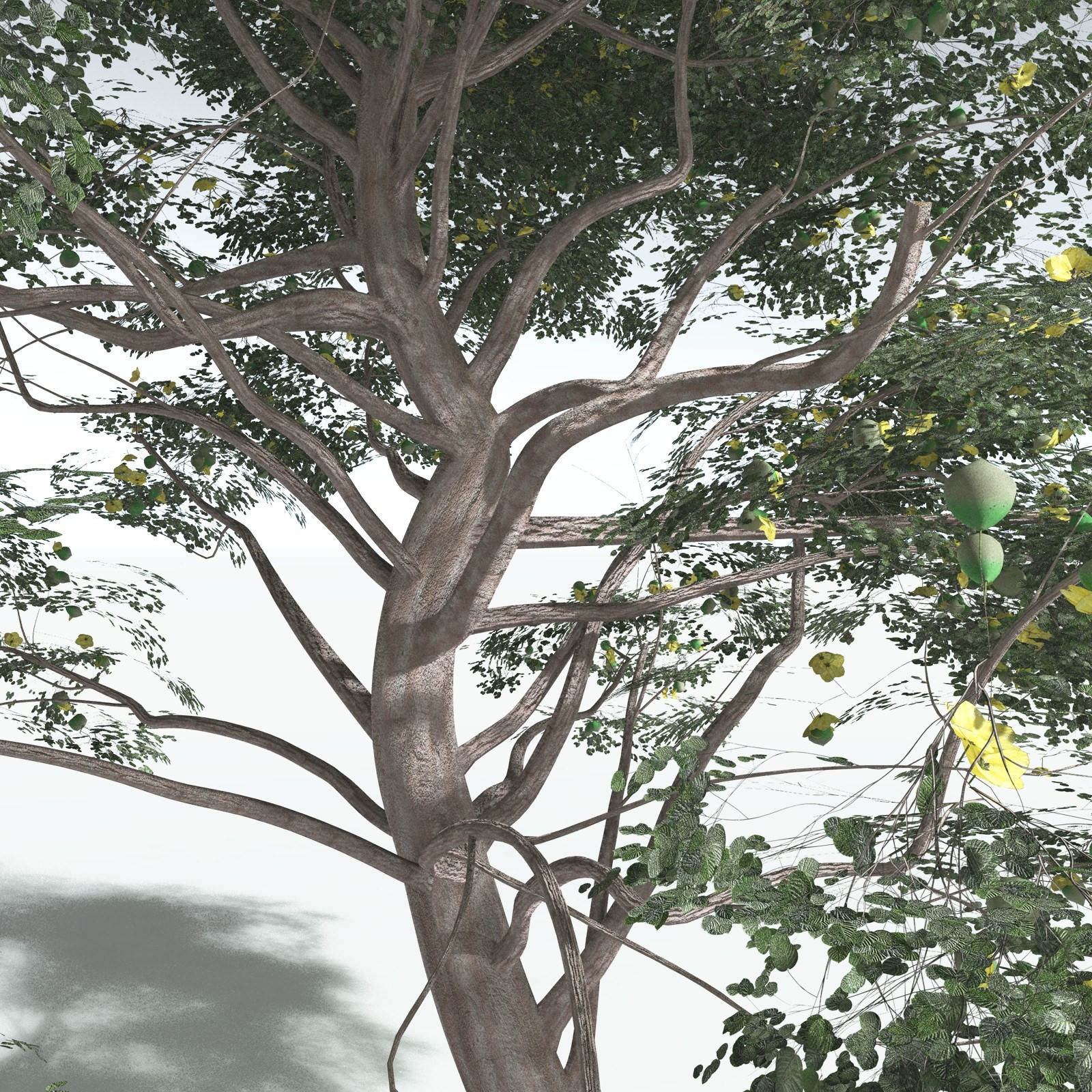 EVERYPlant Portia Tree for Vue by N/A