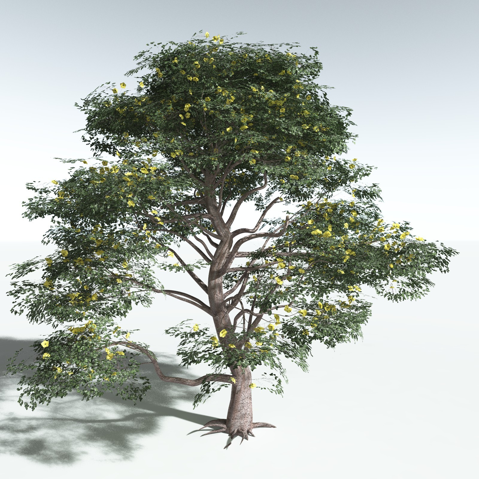 EVERYPlant Portia Tree for Vue by N/A
