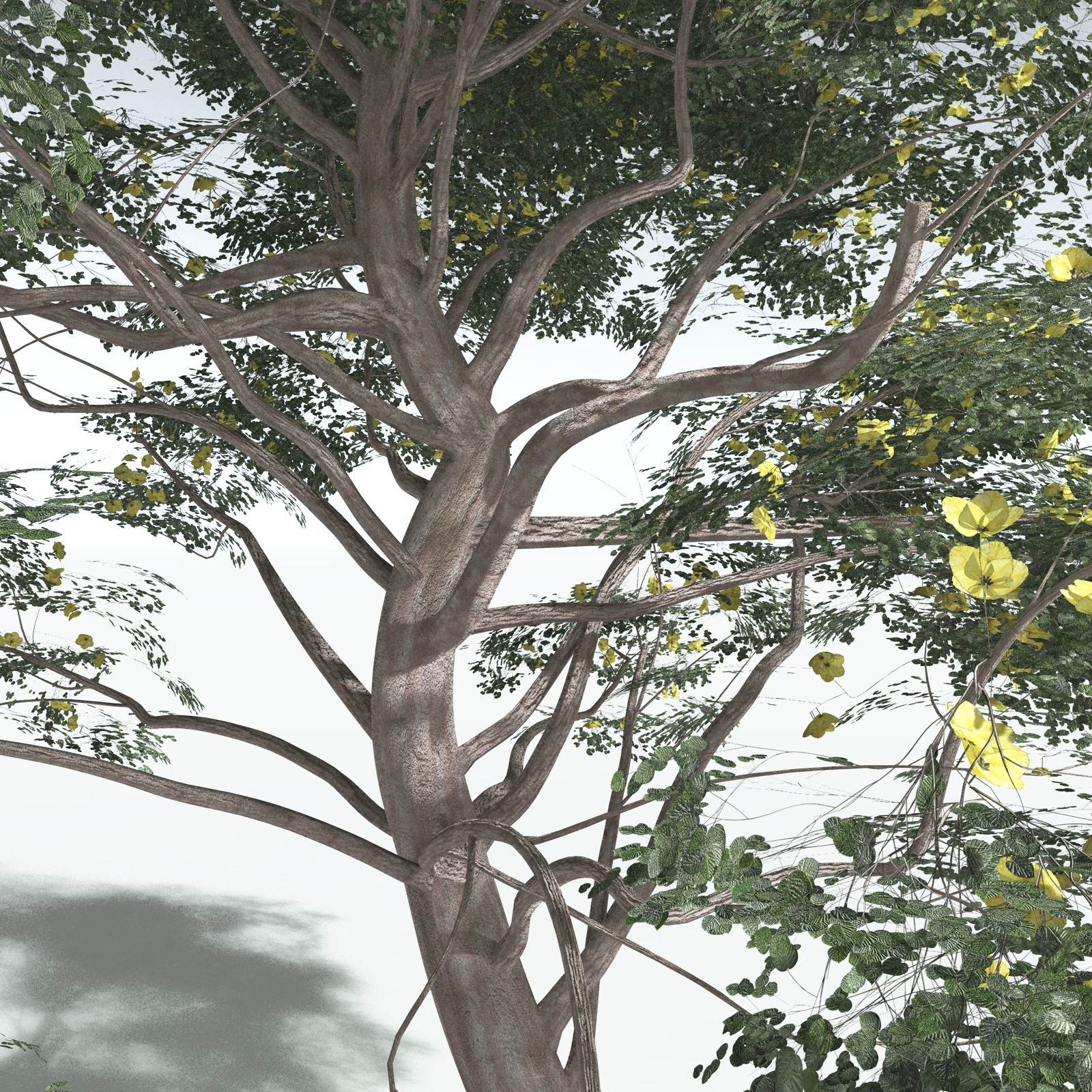 EVERYPlant Portia Tree for Vue by N/A