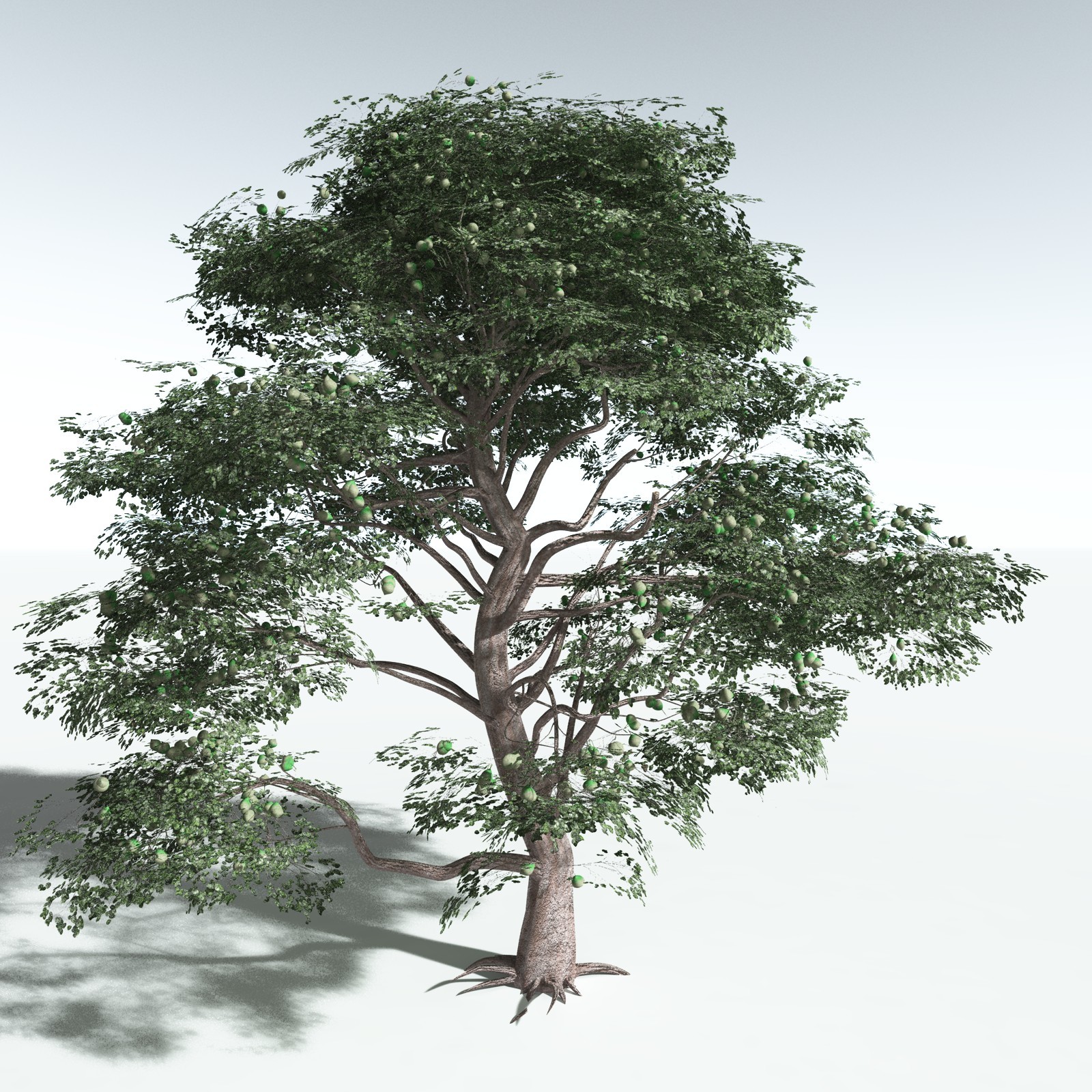 EVERYPlant Portia Tree for Vue by N/A