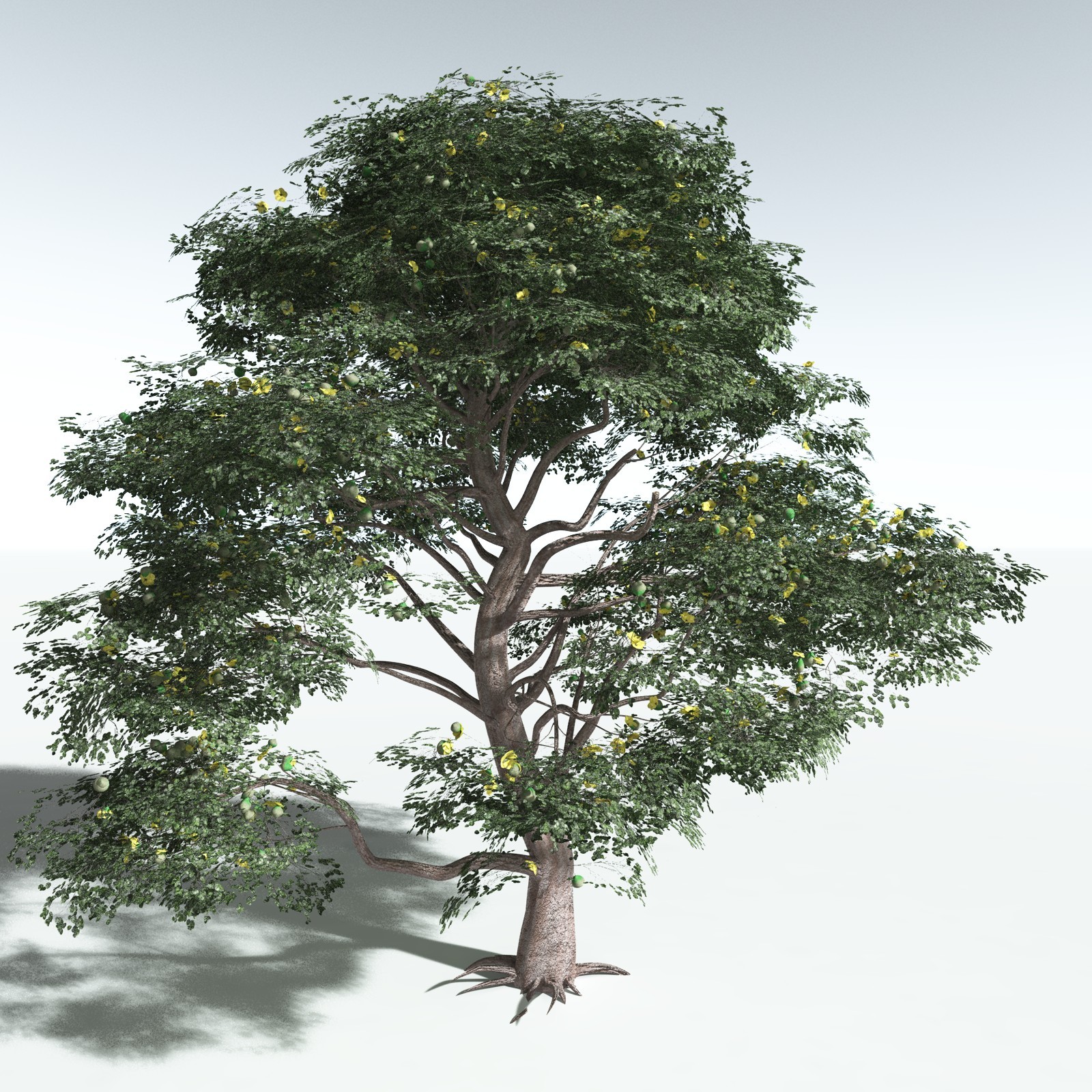 EVERYPlant Portia Tree for Vue by N/A