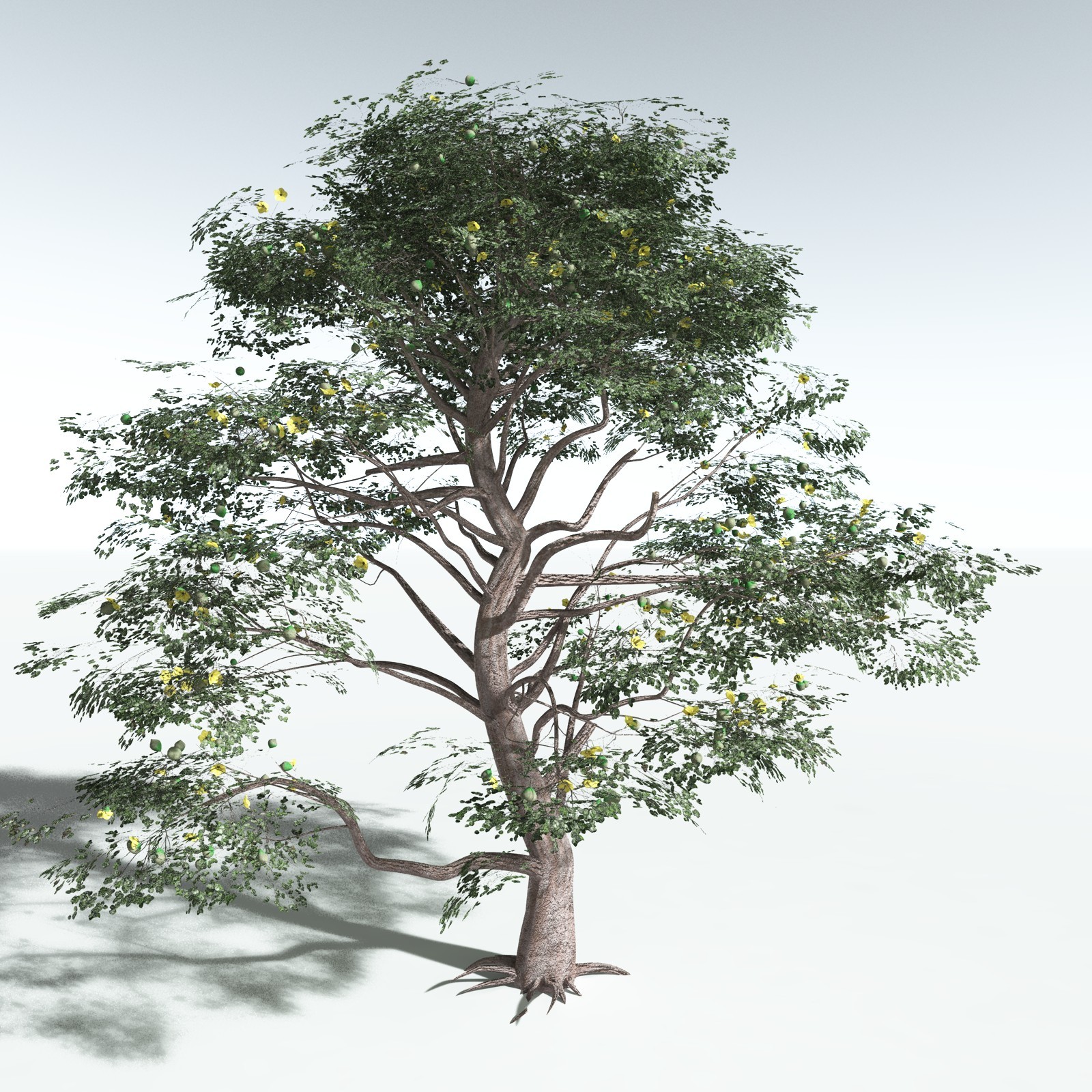 EVERYPlant Portia Tree for Vue by N/A