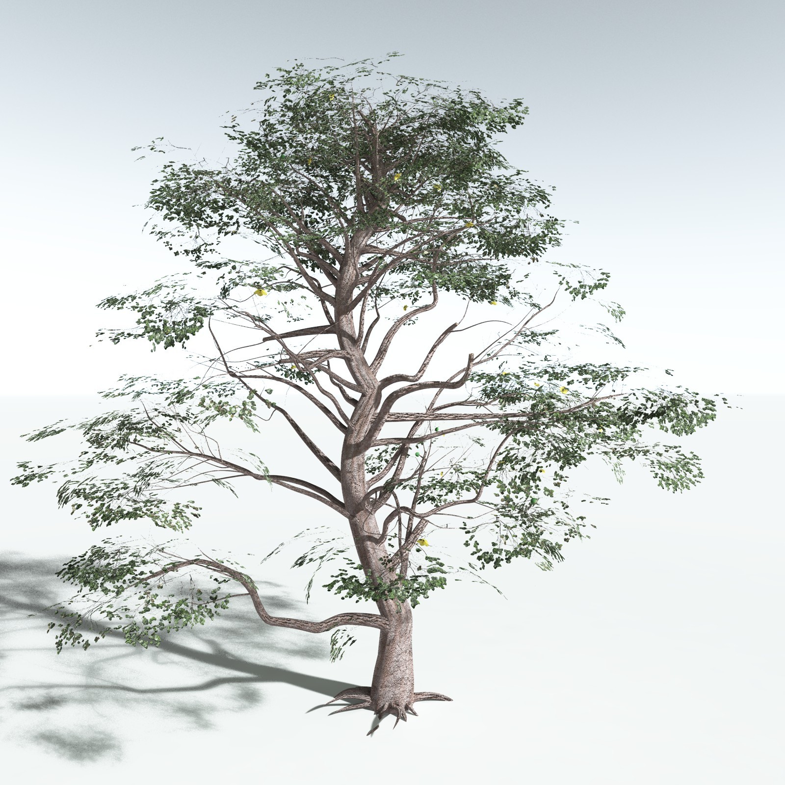 EVERYPlant Portia Tree for Vue by N/A