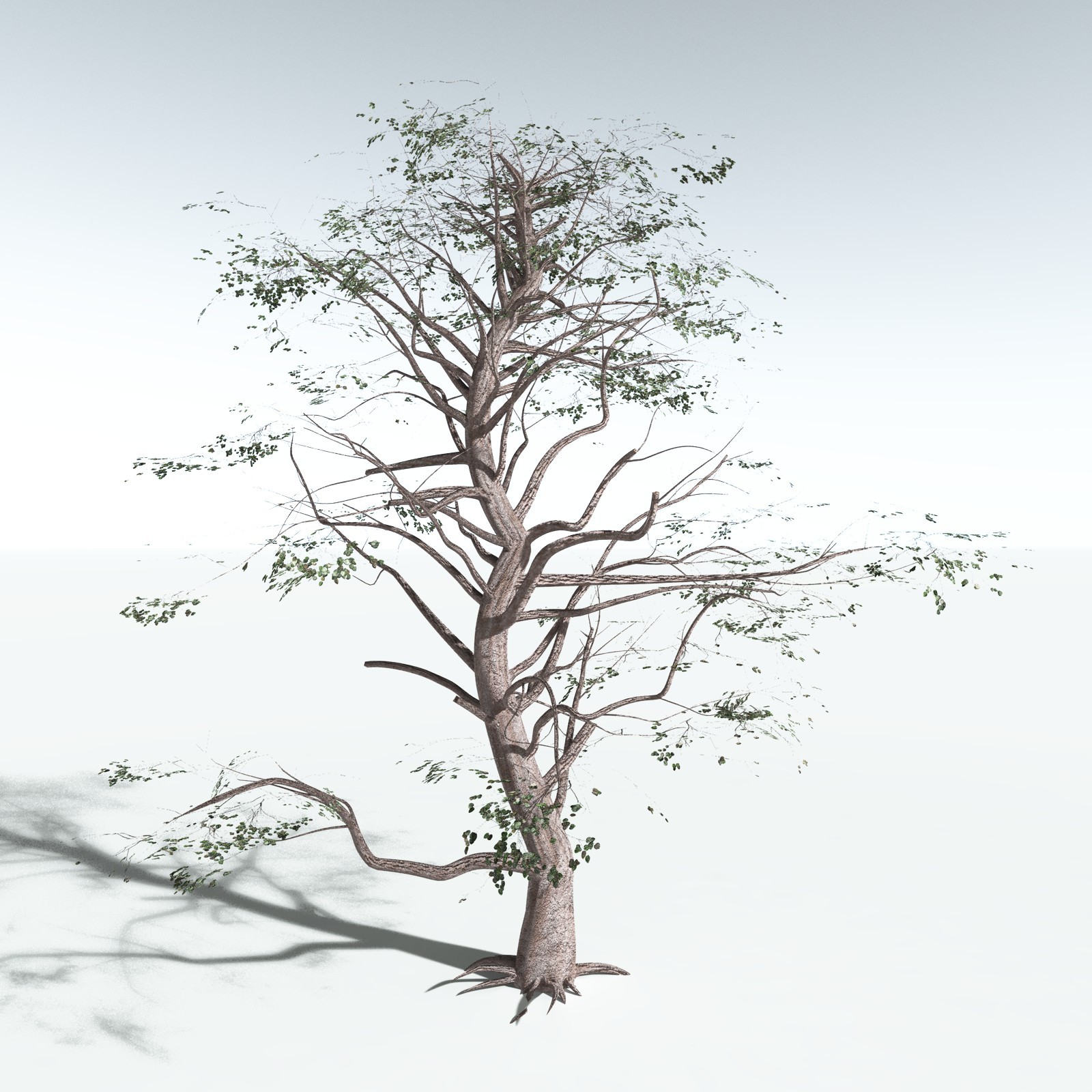 EVERYPlant Portia Tree for Vue by N/A