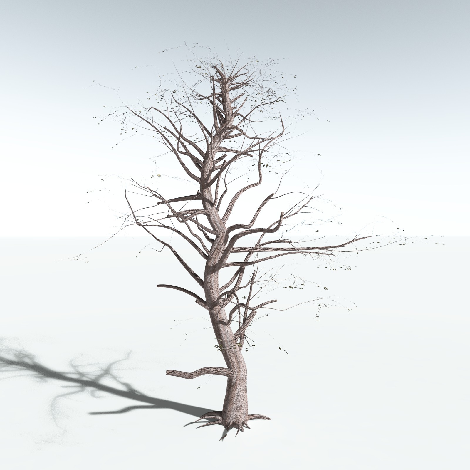 EVERYPlant Portia Tree for Vue by N/A