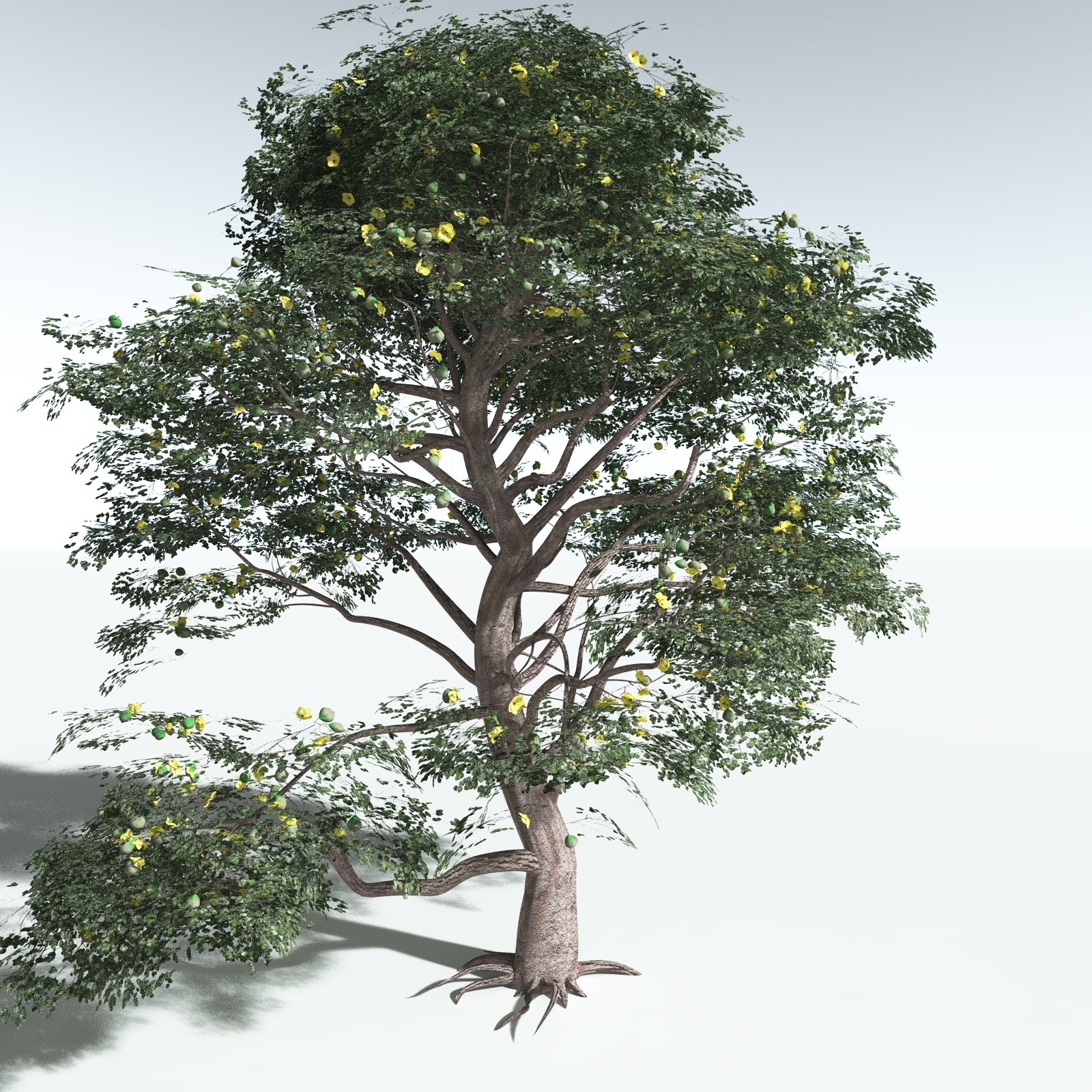 EVERYPlant Portia Tree for Vue by N/A