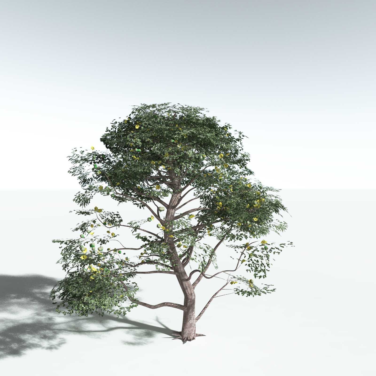 EVERYPlant Portia Tree for Vue by N/A