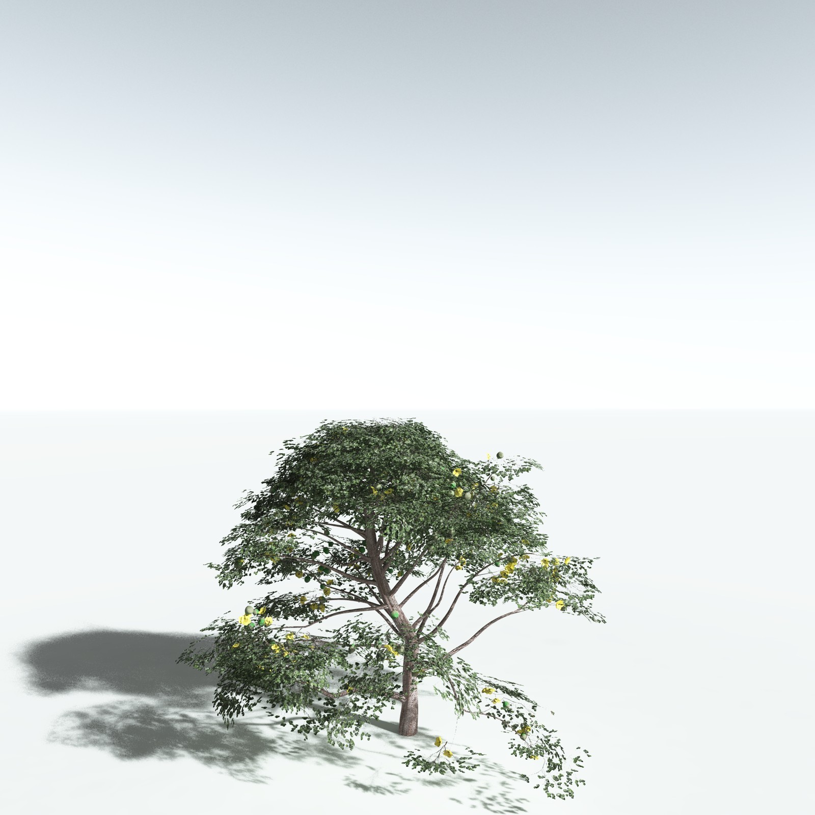 EVERYPlant Portia Tree for Vue by N/A
