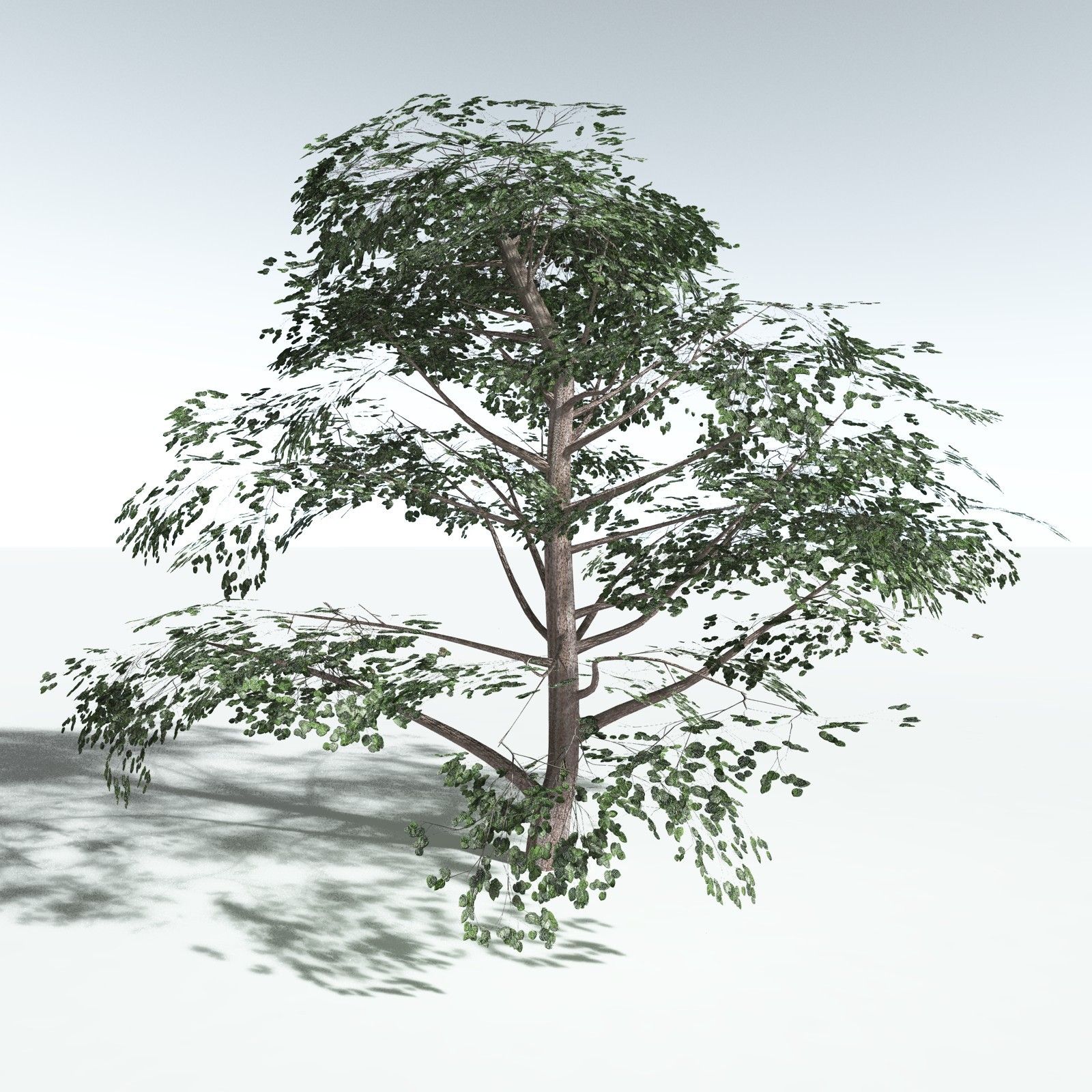 EVERYPlant Portia Tree for Vue by N/A
