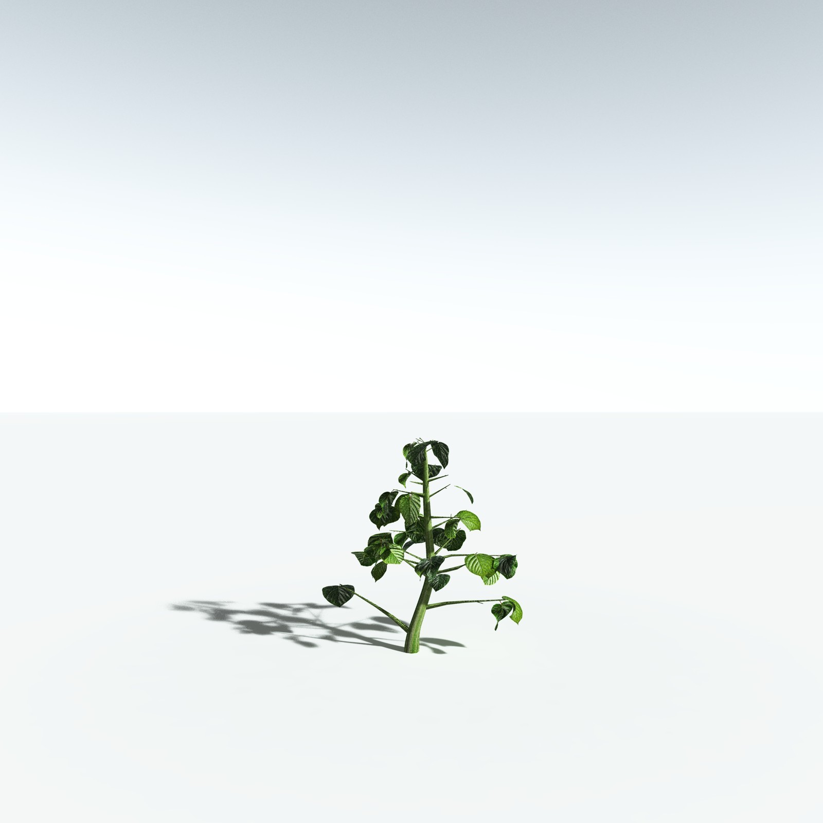 EVERYPlant Portia Tree for Vue by N/A