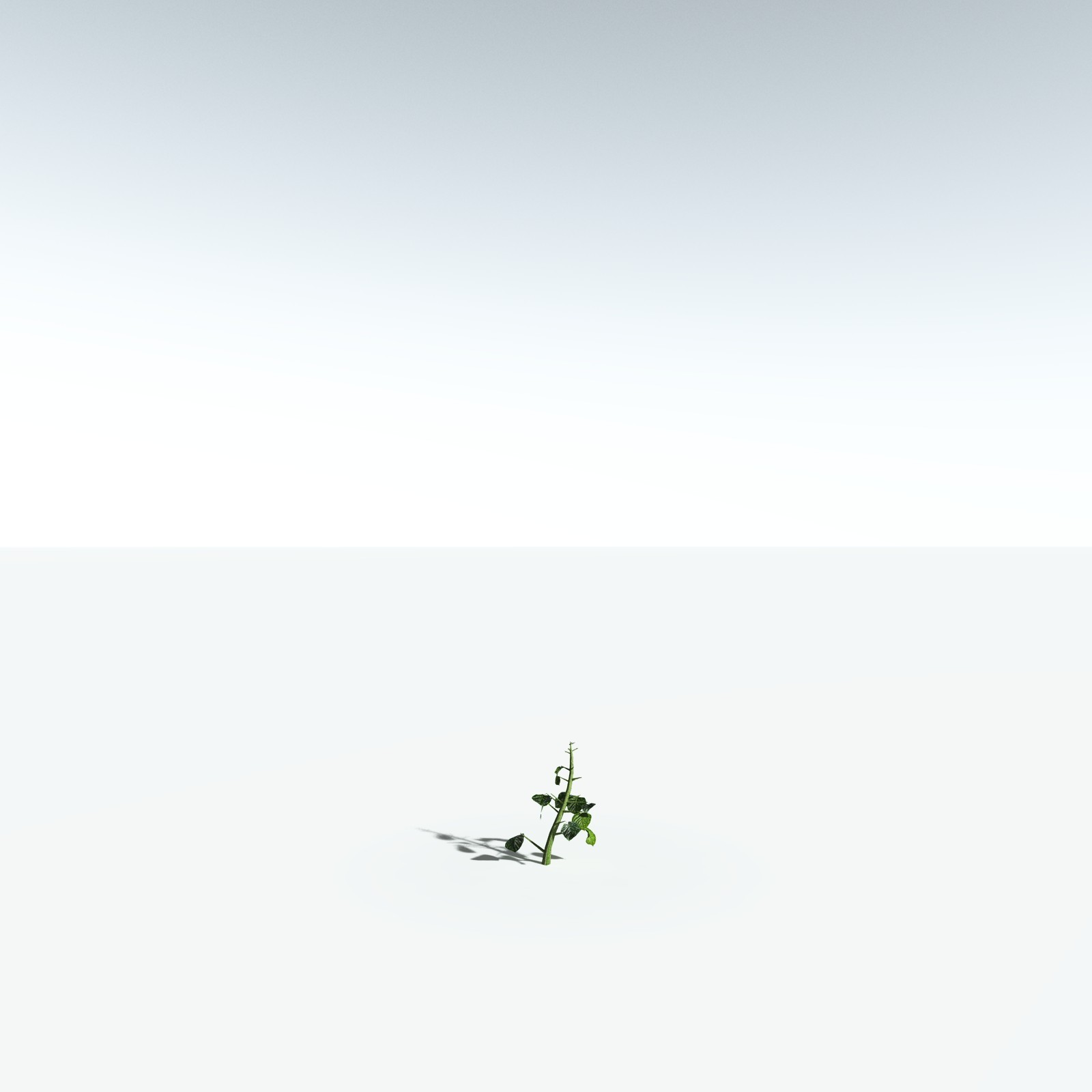 EVERYPlant Portia Tree for Vue by N/A