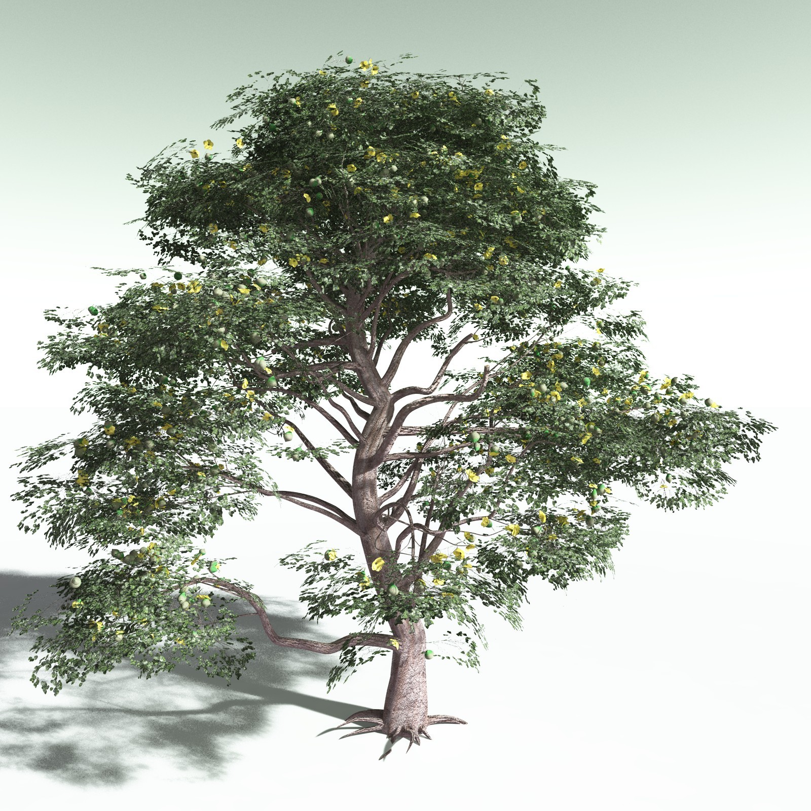 EVERYPlant Portia Tree for Poser by N/A