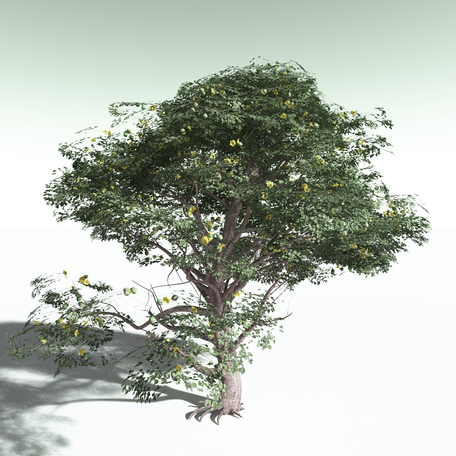 EVERYPlant Portia Tree for Poser by N/A