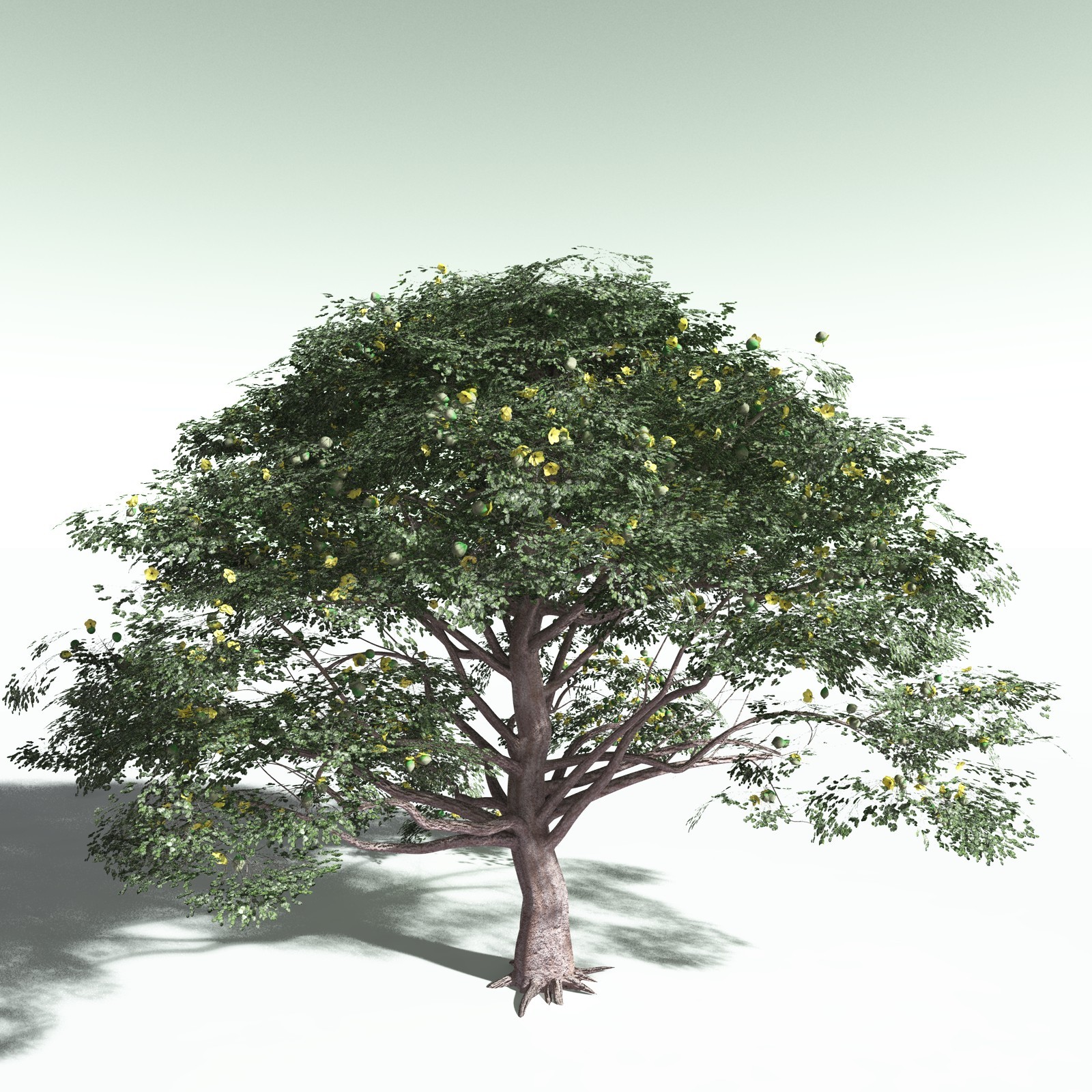 EVERYPlant Portia Tree for Poser by N/A