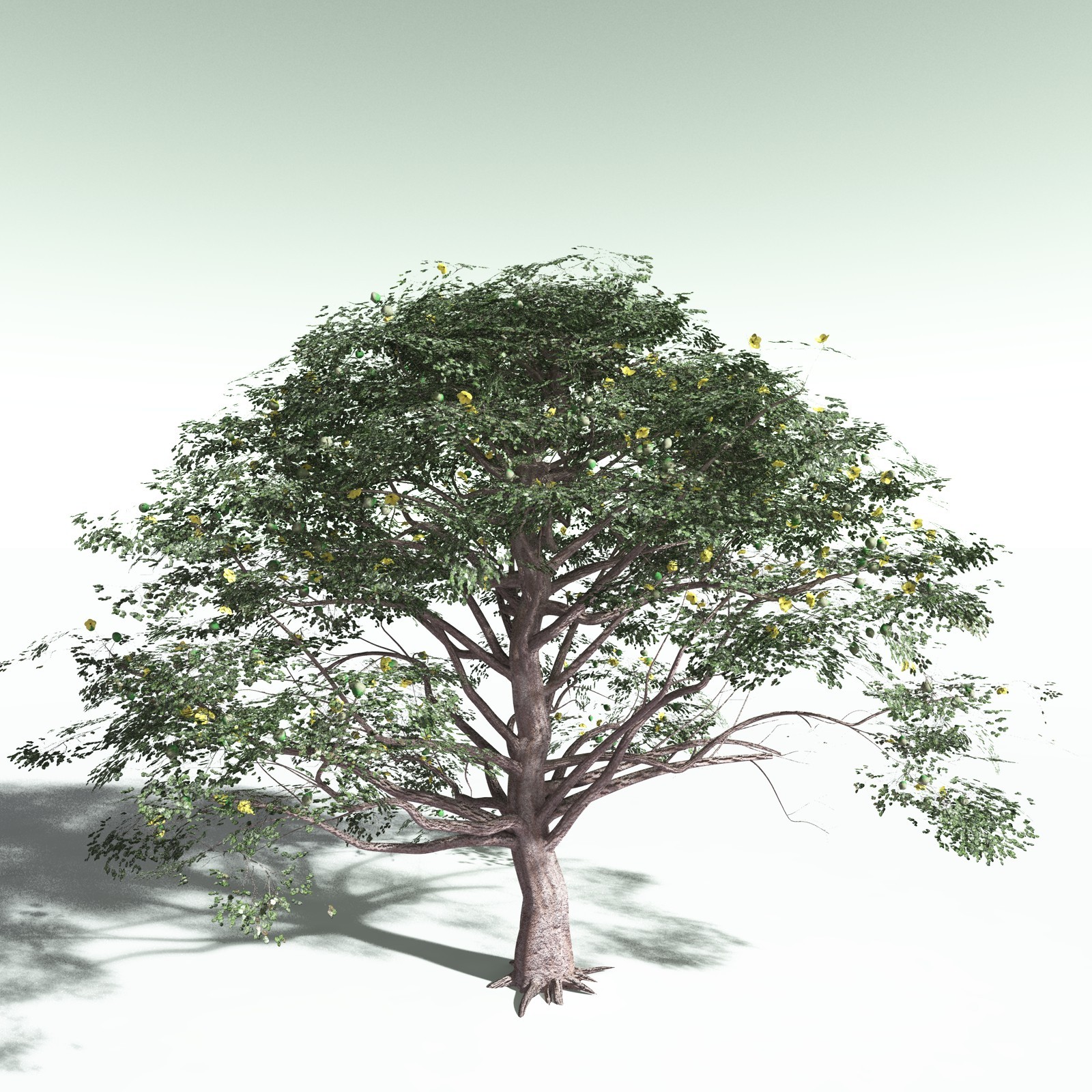 EVERYPlant Portia Tree for Poser by N/A