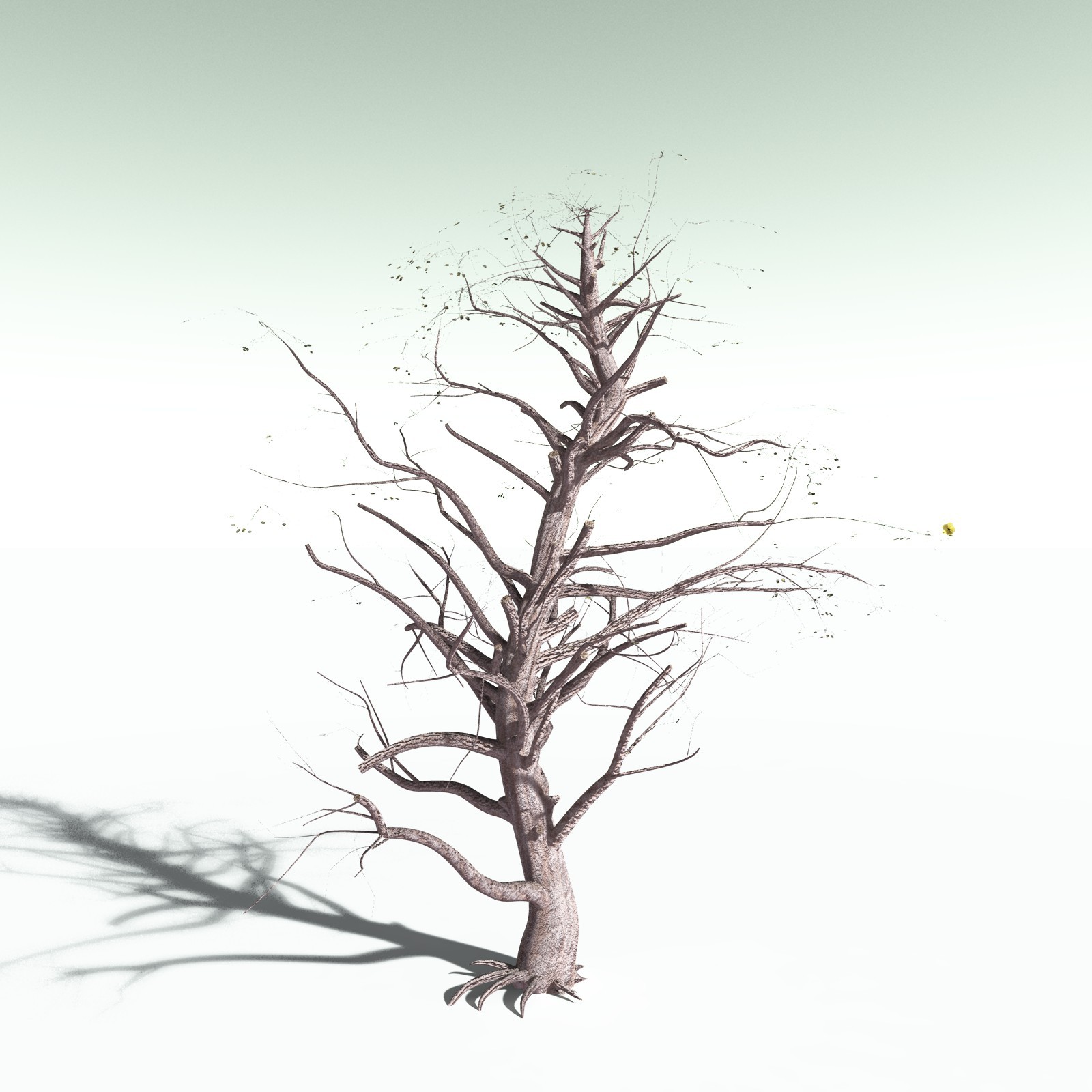 EVERYPlant Portia Tree for Poser by N/A