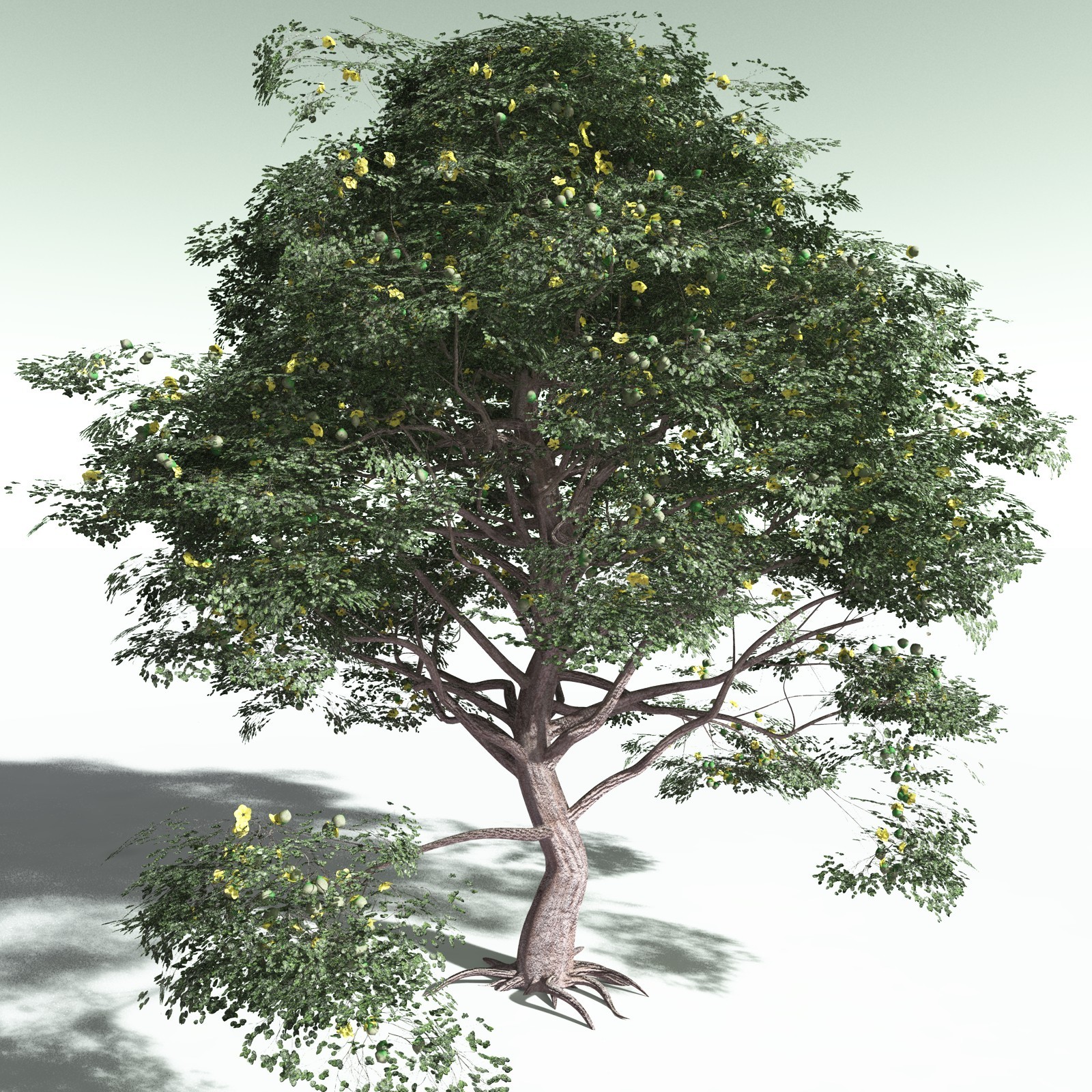 EVERYPlant Portia Tree for Poser by N/A