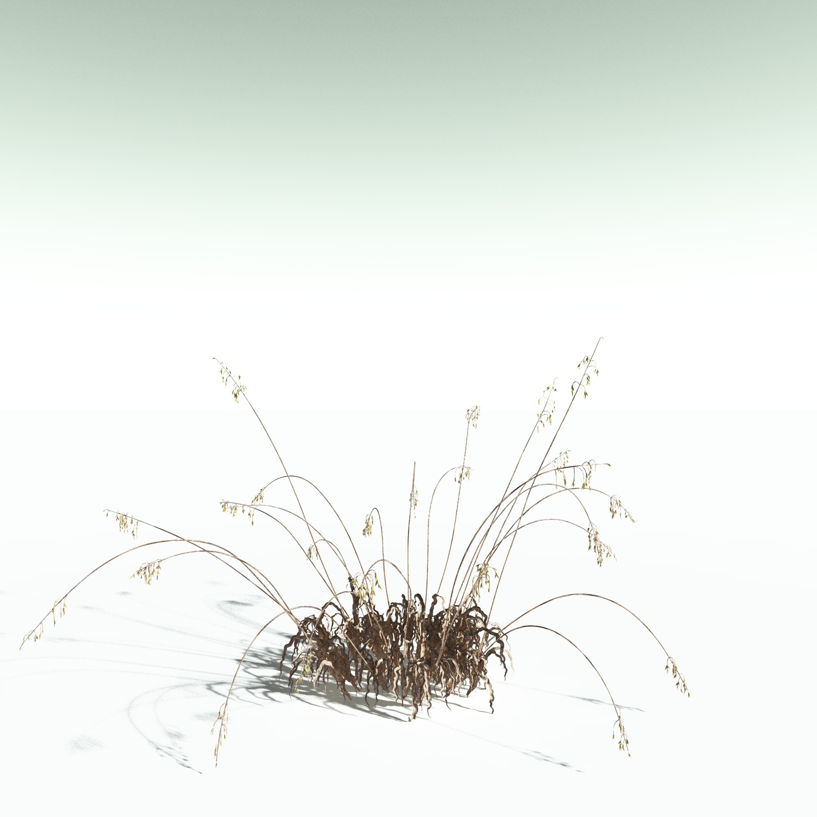 EVERYPlant Sea Oats for Poser by N/A