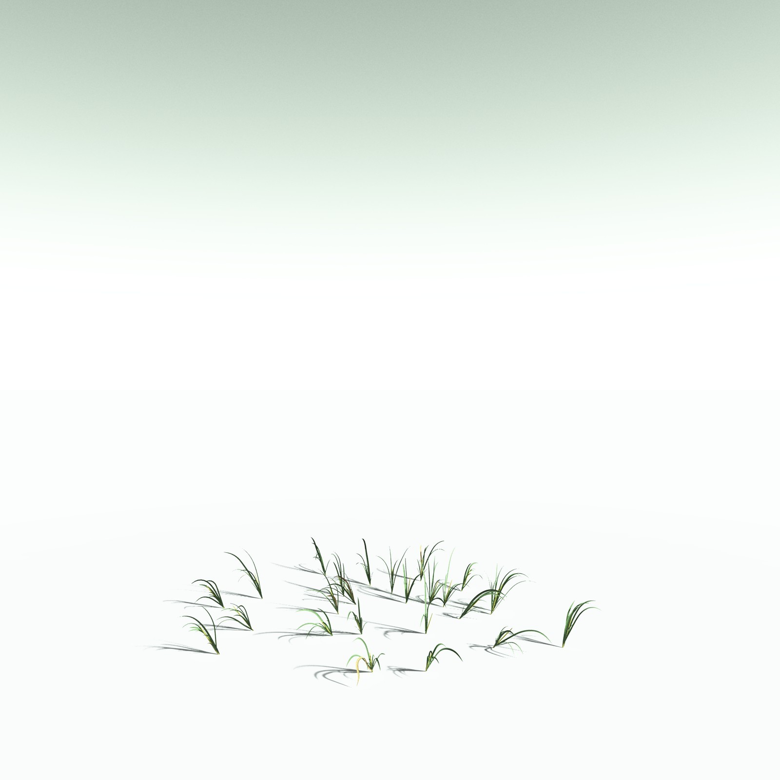 EVERYPlant Sea Oats for Poser by N/A