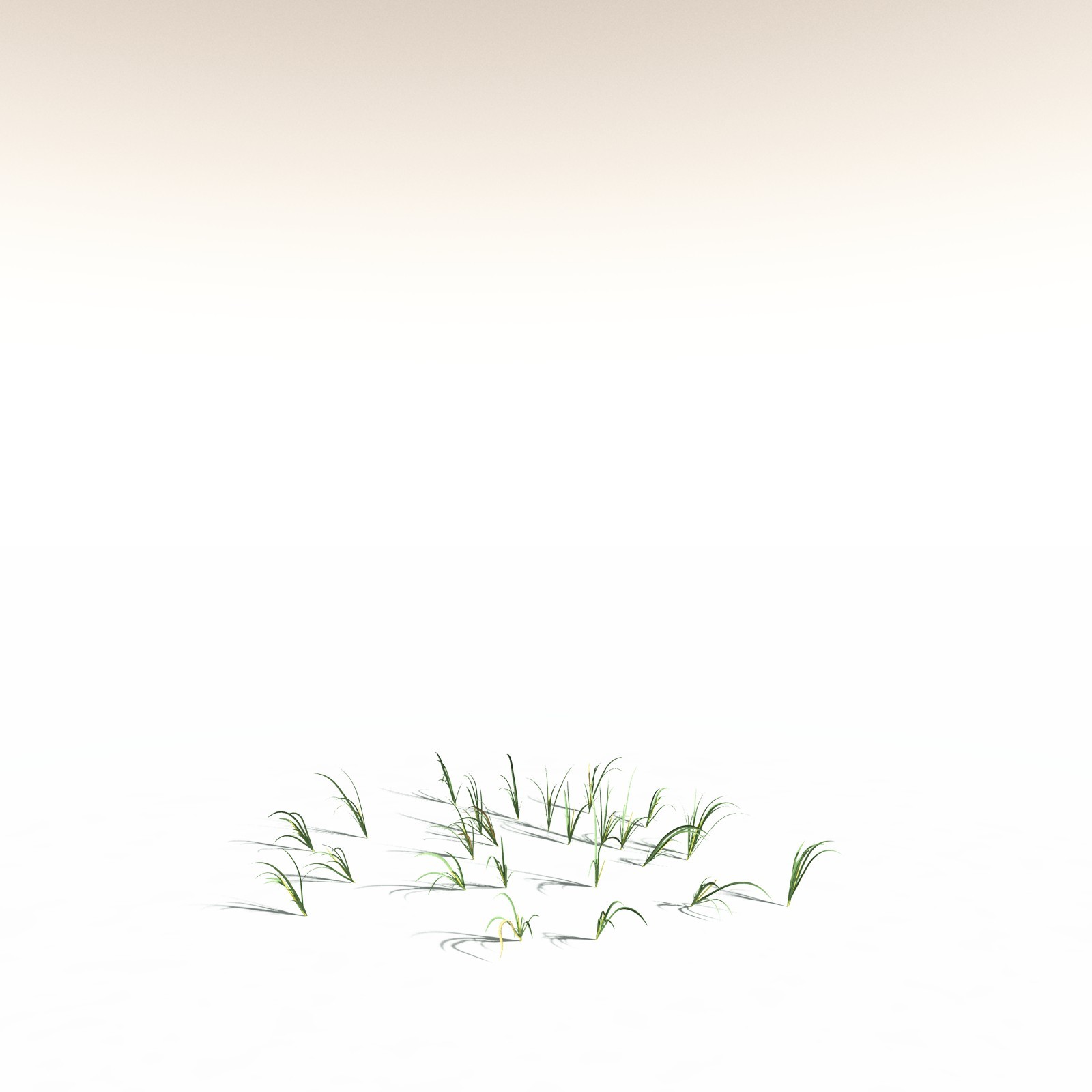 EVERYPlant Sea Oats for Daz by N/A