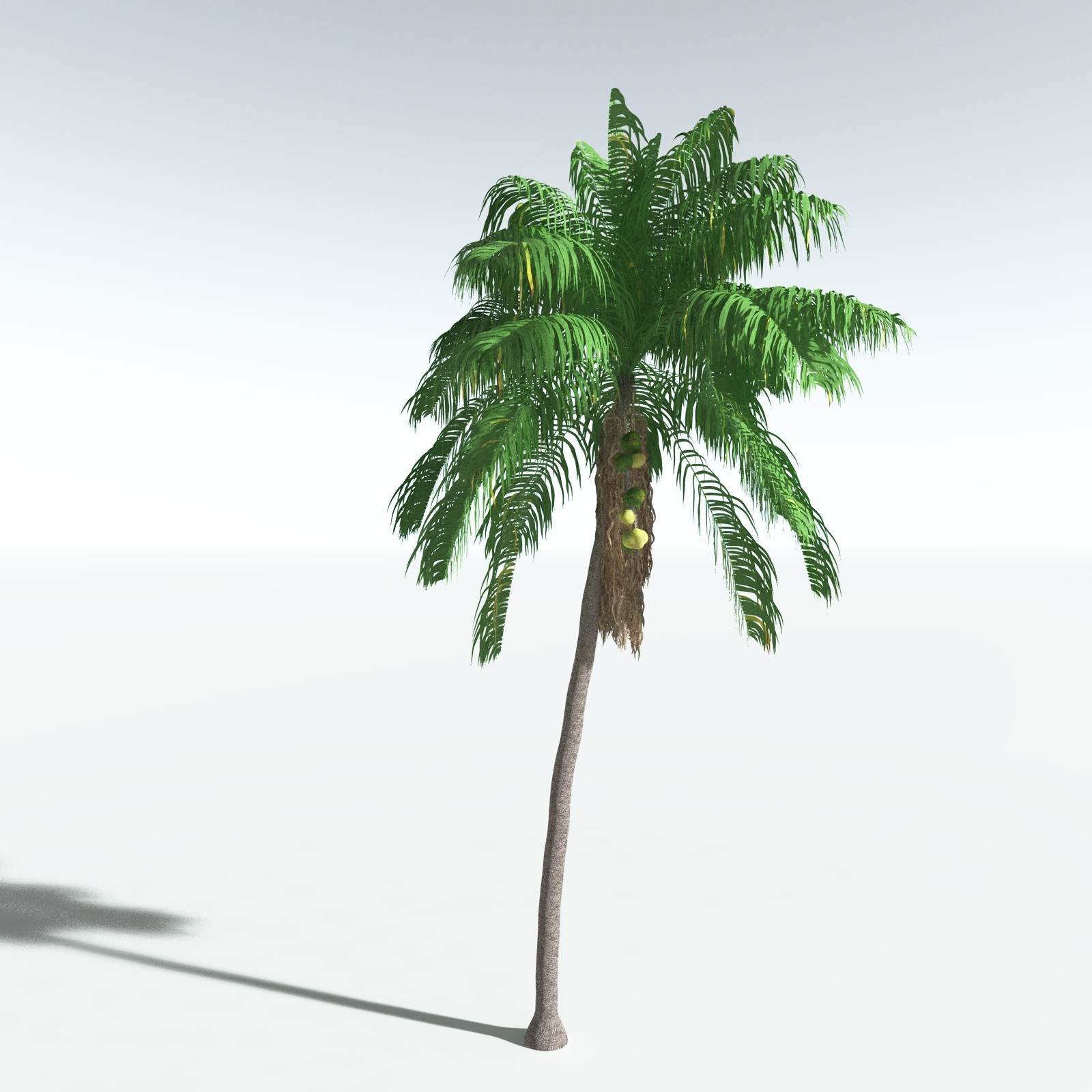 EVERYPlant Tropical Beach Biome for Vue by N/A