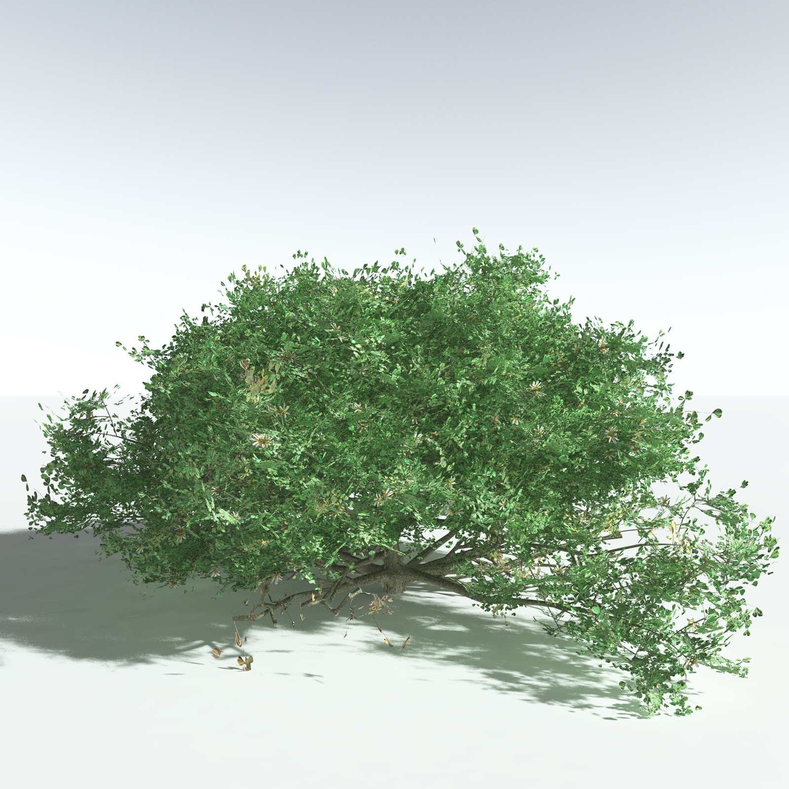 EVERYPlant Tropical Beach Biome for Vue by N/A