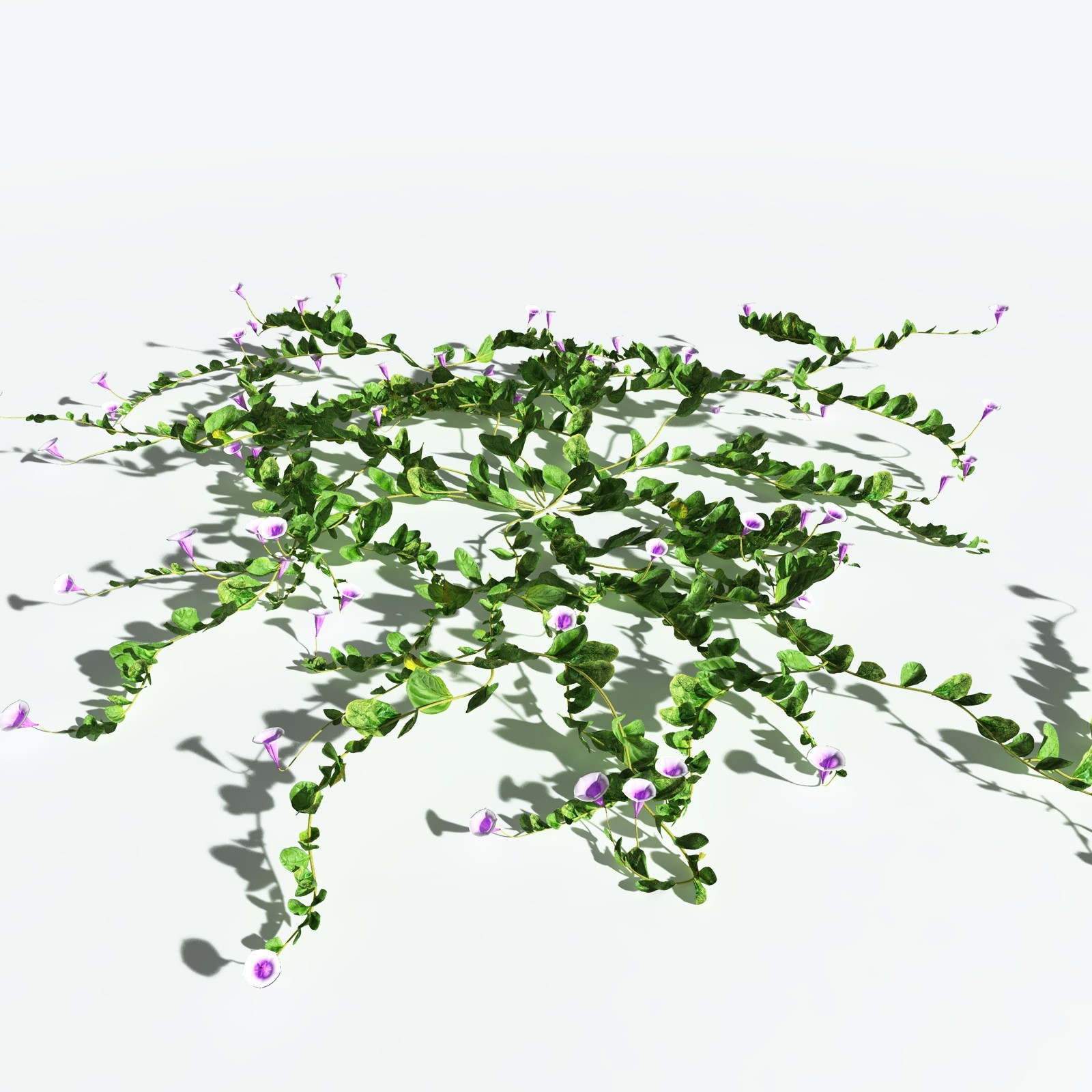 EVERYPlant Tropical Beach Biome for Vue by N/A