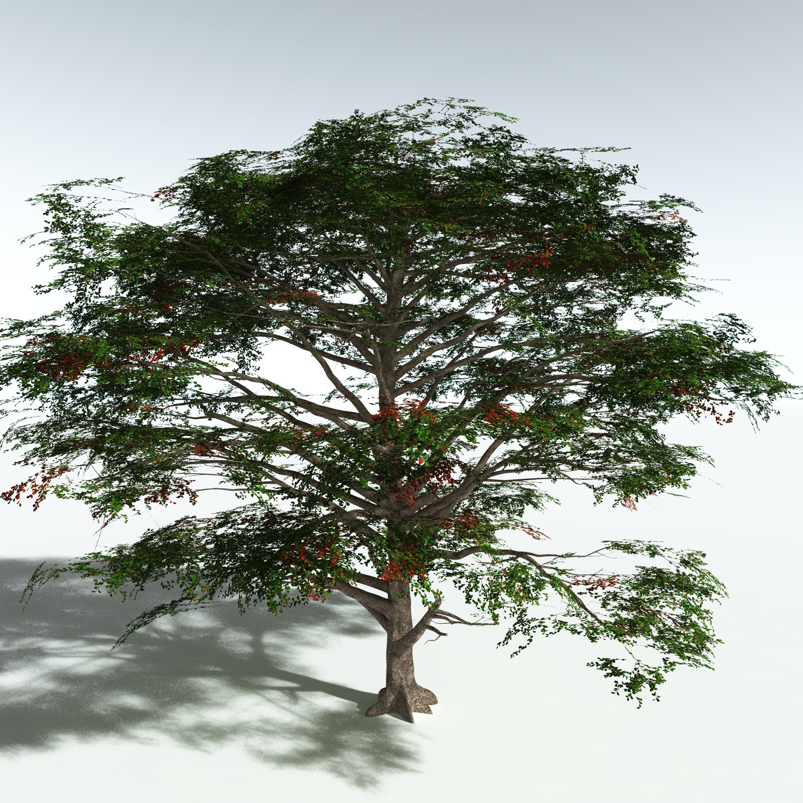 EVERYPlant Tropical Beach Biome for Vue by N/A