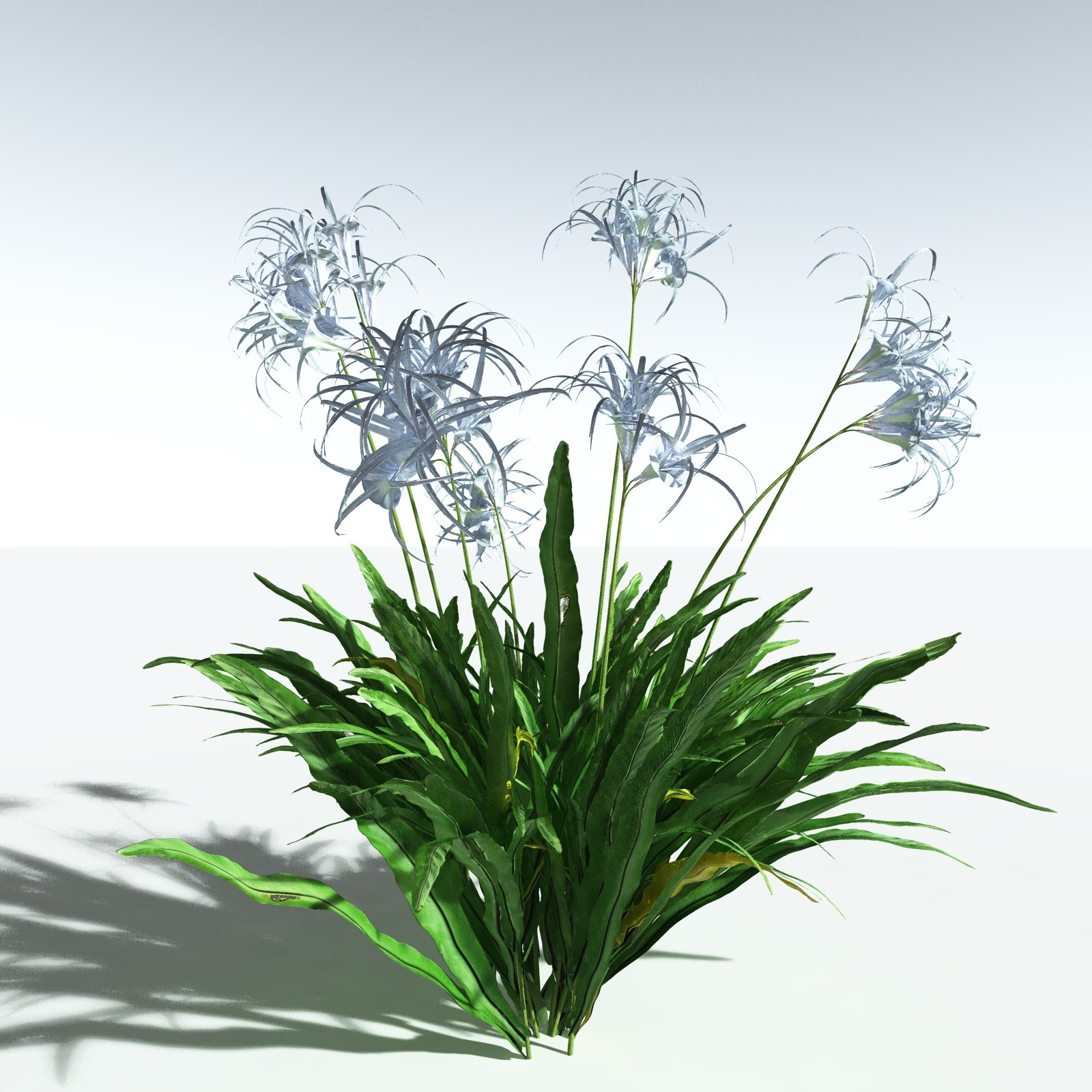 EVERYPlant Tropical Beach Biome for Vue by N/A