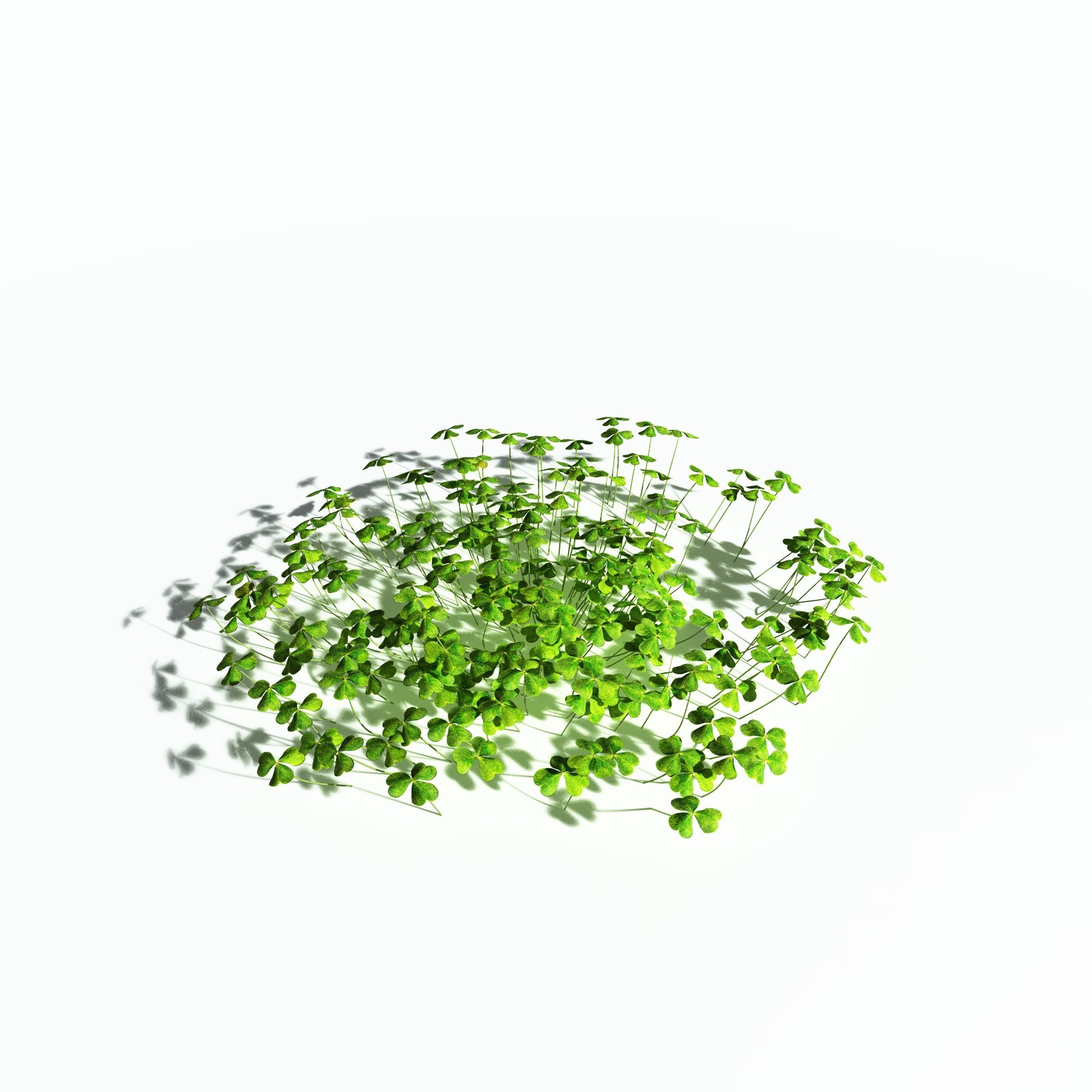 EVERYPlant Redwood Sorrel for Poser by N/A