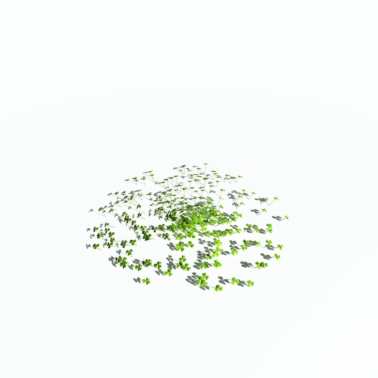 EVERYPlant Redwood Sorrel for Poser by N/A
