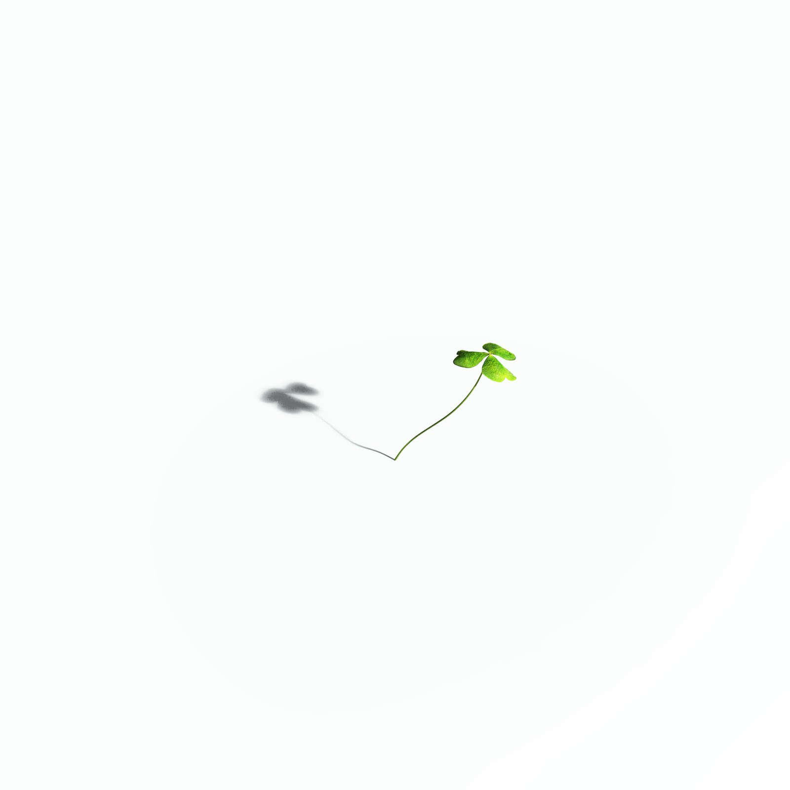 EVERYPlant Redwood Sorrel for Poser by N/A