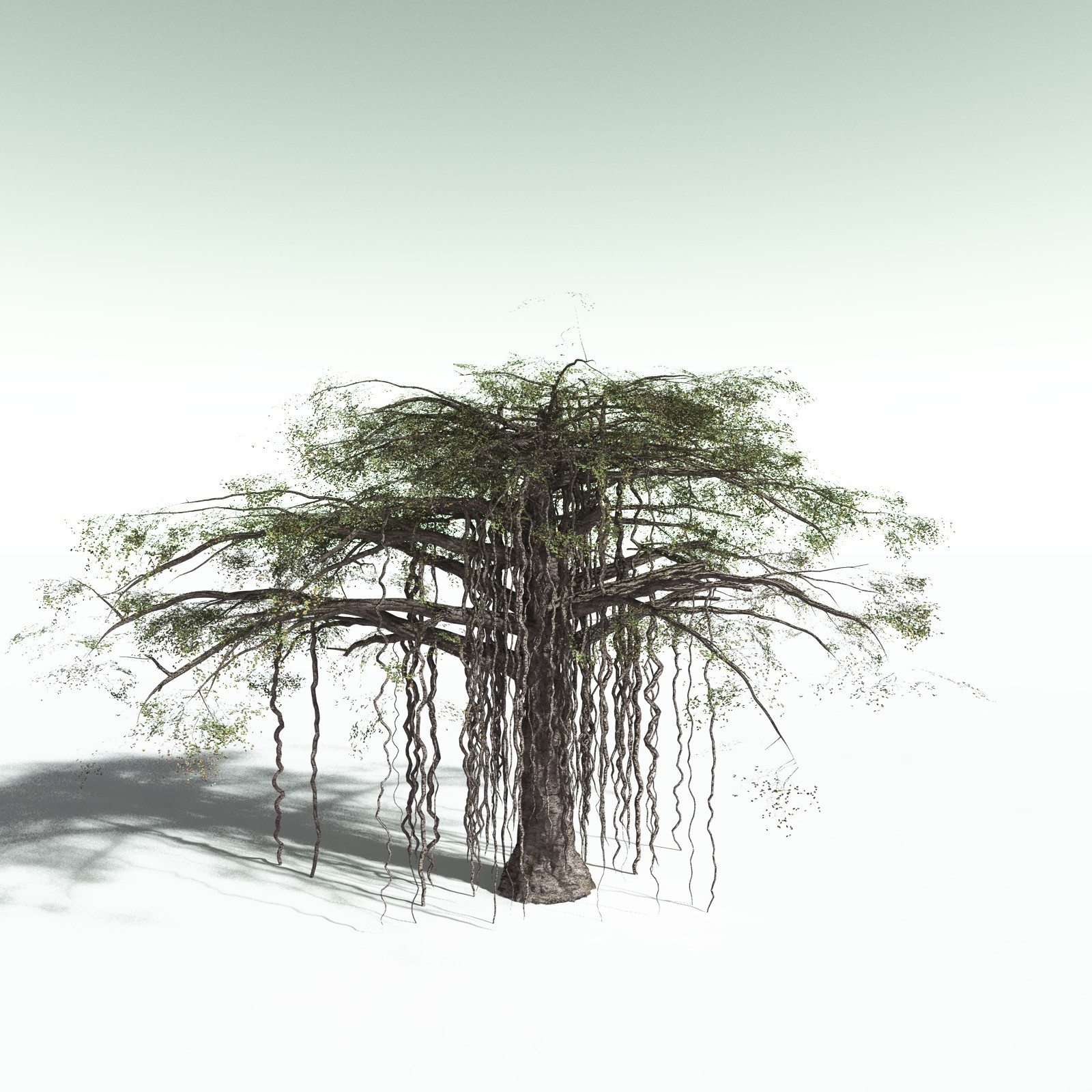 EVERYPlant Banyan Tree for Poser by N/A