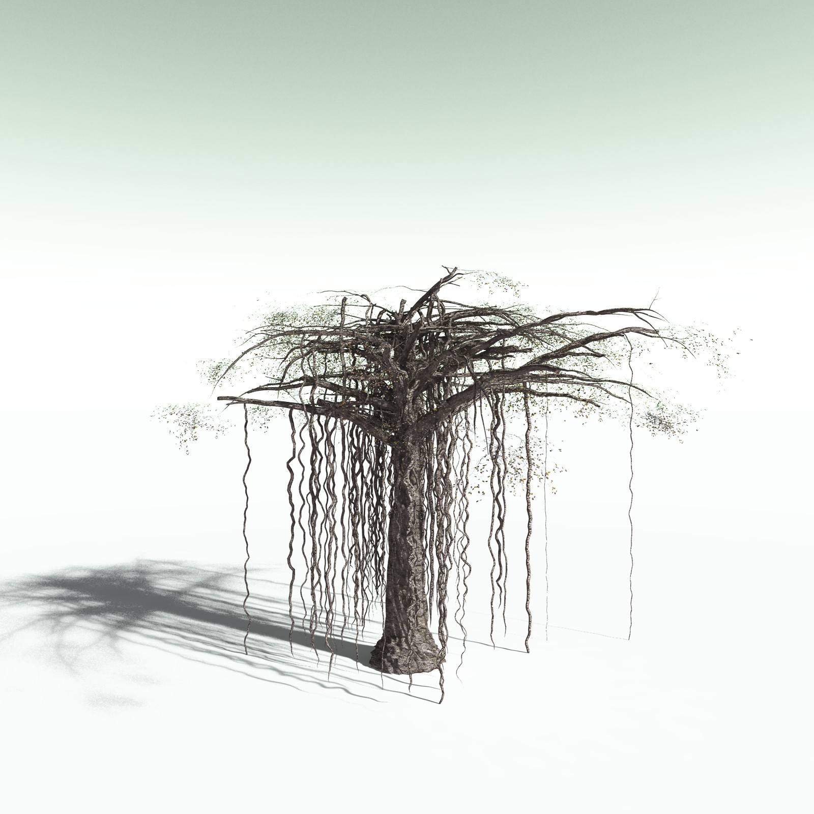 EVERYPlant Banyan Tree for Poser by N/A